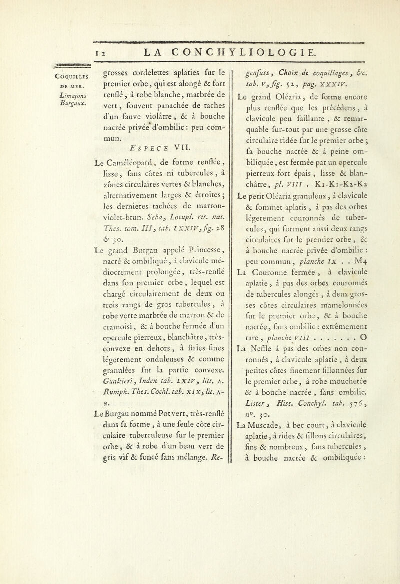 COQUILLES DE MER. Limaçons Burgaux. grosses cordelettes aplaties fur le premier orbe, qui est alongé Sc fort renflé , à robe blanche, marbrée de vert, fouvent panachée de taches d’un fauve violâtre , Sc à bouche nacrée privée d’ombilic : peu com- mun. Espece VII. Le Camcléopard, de forme renflée , lisse, fans côtes ni tubercules , à zones circulaires vertes & blanches, alternativement larges Sc étroites; les dernieres tachées de marron- violet-brun. Seba3 Locu.pl. rer. nat. Tries. îom. IIIi tab. LXXlVyfg. 28 & 30. Le grand Burgau appelé Princesse, nacré Sc ombiliqué , à clavicule mé- diocrement prolongée, très-renflé dans fon premier orbe , lequel est chargé circulairement de deux ou trois rangs de gros tubercules , à robe verte marbrée de marron Sc de cramoisi, Sc à bouche fermée d’un opercule pierreux, blanchâtre, très- convexe en dehors , à ftries fines légèrement onduleuses Sc comme O granulées fur la partie convexe. Gualturiy Index tab. LX1V3 lin. a. Rumph. Thés. Cochl. tab. XIX3 lit. a- B. Le Burgau nommé Pot vert, très-renflé dans fa forme , â une feule côte cir- culaire tuberculeuse fur le premier orbe t Sc à robe d’un beau vert de gris vif Sc foncé fans mélange. Re- genfuss y Choix de coquillages, &c. tab. V3fig. 52, pag. XXXIV. Le grand Oléaria, de forme encore plus renflée que les précédens, à clavicule peu faillante , Sc remar- quable fur-tout par une grosse côte circulaire ridée fur le premier orbe ; fa bouche nacrée & â peine om- biliquée , est fermée par un opercule pierreux fort épais , lisse Sc blan- châtre, pl. vin . K1-K1-K2-K2 Le petit Oléaria granuleux, à clavicule Sc fommet aplatis, à pas des orbes légèrement couronnés de tuber- cules, qui forment aussi deux rangs circulaires fur le premier orbe , Sc à bouche nacrée privée d’ombilic : peu commun, planche IX . . M4 La Couronne fermée , à clavicule aplatie, à pas des orbes couronnés de tubercules alongés , à deux gros- ses côtes circulaires mamelonnées fur le premier orbe, Sc à bouche nacrée, fans ombilic : extrêmement rare, planche vin O La Neffle à pas des orbes non cou- ronnés , à clavicule aplatie , à deux petites côtes finement fillonnées fur le premier orbe, à robe mouchetée Sc â bouche nacrée , fans ombilic. Lister 3 Hist. Conchyl. tab. 576, n°. 30. La Muscade, â bec court, â clavicule aplatie, arides Sc filions circulaires, fins Sc nombreux, fans tubercules, à bouche nacrée Sc ombiliquée ;