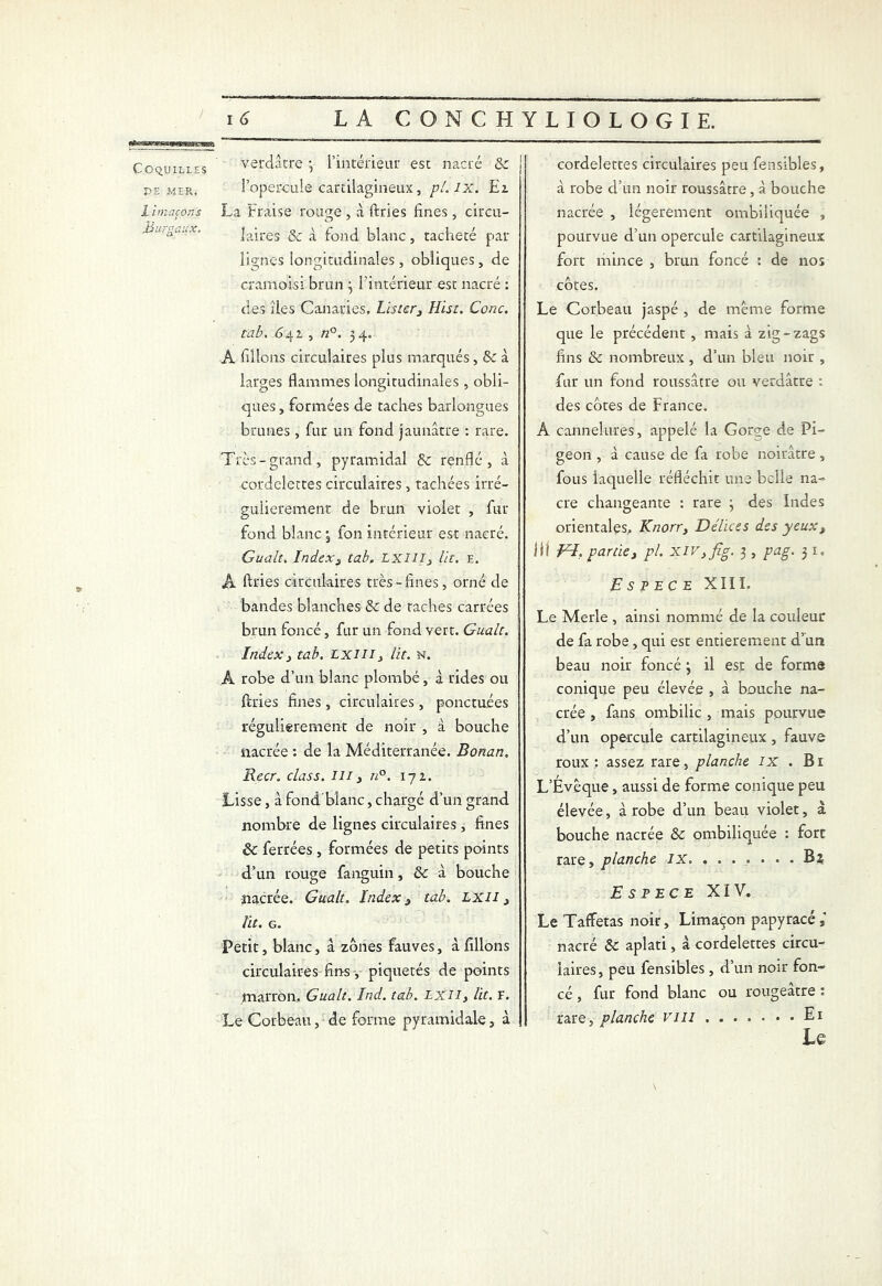 & COQUILLES PE MER. I imaçon s Burgaux, verdâtre -, l’intérieur est nacré & l’opercule cartilagineux, pl.lx. El La Fraise rouge , à {tries fines, circu- laires & cà fond blanc, tacheté pat- lignes longitudinales , obliques , de cramoisi brun 3 l'intérieur est nacré : des îles Canaries. Lister3 Hist. Conc. tab. 64 a , n°. 3 4. A filions circulaires plus marqués, Sc à larges flammes longitudinales , obli- ques , formées de taches barlongues brunes , fur un fond jaunâtre : rare. Très-grand, pyramidal & renflé, à cordelettes circulaires, tachées irré- gulièrement de brun violet , fur fond blanc 3 fon intérieur est nacré. Gualt, Index3 tab. LXIII3 Ut. e. A ftries circulaires très-fines, orné de bandes blanches & de taches carrées brun foncé, fur un fond vert. Gualt. Index3 tab. Lxiii3 lit. N. A robe d’un blanc plombé, à rides ou ftries fines, circulaires , ponctuées régulièrement de noir , à bouche nacrée : de la Méditerranée. Bonan. Recr. class. m3 n°. 172. Lisse, à fondblanc, chargé d’un grand nombre de lignes circulaires , fines & ferrées, formées de petits points d’un rouge fanguin, & à bouche nacrée. Gualt. Index 3 tab. lxii 3 lit. g. Petit, blanc, â zones fauves, à filions circulaires fins-, piquetés de points marron. Gualt. Ind. tab. LXII, lit. F. Le Corbeau, de forme pyramidale, à cordelettes circulaires peu fensibles, à robe d’un noir roussâtre, à bouche nacrée , légèrement ombiliquée , pourvue d’un opercule cartilagineux fort mince , brun foncé : de nos côtes. Le Corbeau jaspé , de meme forme que le précédent , mais à zig-zags fins & nombreux , d’un bleu noir , fur un fond roussâtre ou verdâtre : des côtes de France. À cannelures, appelé la Gorge de Pi- geon , à cause de fa robe noirâtre, fous laquelle réfléchit une belle na- cre changeante : rare 3 des Indes orientales. Knorry Délices des yeux3 lil FI, partie3 pl. Xiv3fig. 3 , pag. 31. Espece XIII. Le Merle , ainsi nommé de la couleur de fa robe, qui est entièrement d’un beau noir foncé 3 il est de forme conique peu élevée , à bouche na- crée , fans ombilic , mais pourvue d’un opercule cartilagineux, fauve roux : assez rare, planche ix . Bi L’Évèque, aussi de forme conique peu élevée, à robe d’un beau violet, a bouche nacrée & ombiliquée : fort rare, planche IX. ....... Bi Espece XIV. Le Taffetas noir. Limaçon papyracé,' nacré ôc aplati, à cordelettes circu- laires, peu fensibles , d’un noir fon- cé , fur fond blanc ou rougeâtre : rare, planche vin Ei Le