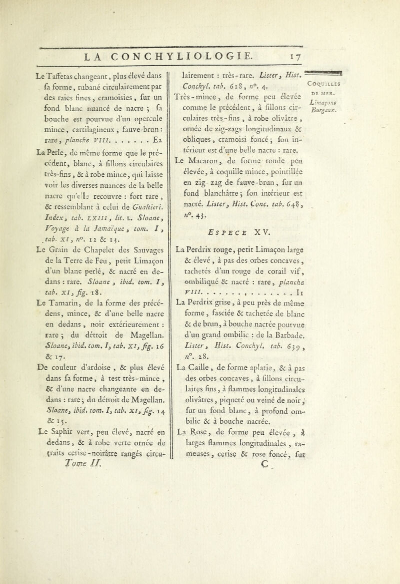 Le Taffetas changeant, plus élevé dans la forme, rubané circulairementpar des raies fines , cramoisies , fur un fond blanc nuancé de nacre } fa bouche est pourvue d’un opercule mince , cartilagineux , fauve-brun : rare, planche vin , . Ez La Perle, de même forme que le pré- cédent, blanc, à filions circulaires très-fins , 8c à robe mince, qui laisse voir les diverses nuances de la belle nacre que!le recouvre : fort rare , êc ressemblant à celui de Gualtieri, Index, tab. LXIII, lit. L. Sloane, Hoyage à la Jamaïque 3 tom. /, Jab- XI, n°. iz 8c 13. Le Grain de Chapelet des Sauvages de la Terre de Feu , petit Limaçon d’un blanc perlé, 8c nacré en de- dans : rare. Sloane 3 ibid. tom. 13 tab. xi3 fig. 18. Le Tamarin, de la forme des précé- dens, mince, 8c d’une belle nacre en dedans , noir extérieurement : rare ; du détroit de Magellan. Sloane3 ibid. tom. I3 tab. xi3 fig. x 6 8c 17. De couleur d’ardoise , 8c plus élevé dans fa forme, à test très -mince , 8c d’une nacre changeante en de- dans : rare 3 du détroit de Magellan. Sloane3 ibid. tom. I3 tab. xi3 fig. 14 & 15. Le Saphir vert, peu élevé, nacré en dedans, 8c à robe verte ornée de Çraits cerise-noirâtre rangés circu- Tomc IL lairement : très-rare. Lister 3 Hist. Conchyl. tab. 61 S, n°. 4. Très-mince, de forme peu élevée comme le précédent, à filions cir- culaires très-fins , à robe olivâtre , ornée de zig-zags longitudinaux 8c obliques , cramoisi foncé • fon in- térieur est d’une belle nacre : rare. Le Macaron, de forme ronde peu élevée, à coquille mince, pointillée en zig-zag de fauve-brun, fur un fond blanchâtre} fon intérieur est nacré. Lister3 Hist. Conc. tab. 648 , Coquilles de MER. Limaçons Burgaux. «°- 43, Espece XV. La Perdrix rouge, petit Limaçon large 8c élevé , à pas des orbes concaves, tachetés d’un rouge de corail vif, ombdiqué 8c nacré : rare, planche Vin. h La Perdrix grise, à peu près de même forme , fasciée 8c tachetée de blanc 8c de brun, a bouche nacrée pourvue d’un grand ombilic : de la Barbade, Lister 3 Hist. Conchyl. tab. 639, n°. 18. La Caille , de forme aplatie, 8c à pas des orbes concaves, à filions circu- laires fins , à flammes longitudinales olivâtres , piqueté ou veiné de noir fur un fond blanc, à profond om- bilic 8c à bouche nacrée. La Rose, de forme peu élevée , â larges flammes longitudinales , ra- meuses , cerise 8c rose foncé ? fur Ç „