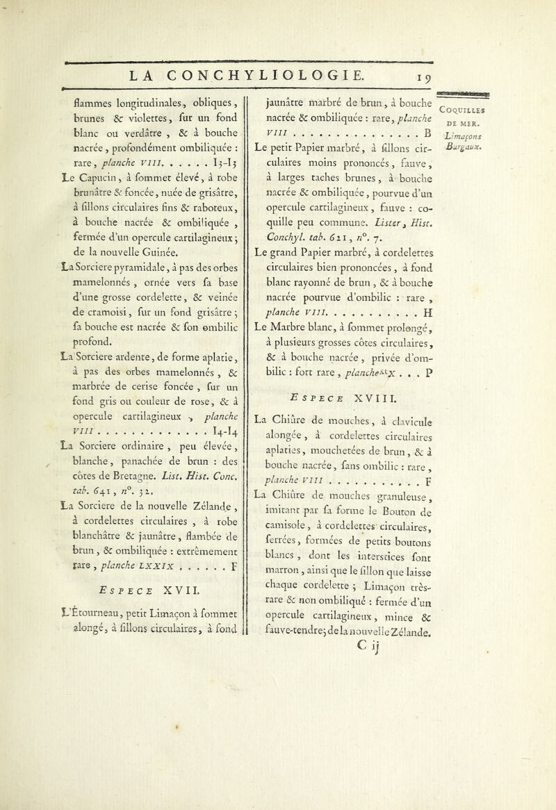 flammes longitudinales, obliques , brunes & violettes, fur un fond blanc ou verdâtre , 8c à bouche nacrée , profondément ombiliquée : rare, planche vm 13 -13 Le Capucin, à fommet élevé, à robe brunâtre 5c foncée, nuée de grisâtre, à filions circulaires fins 8c raboteux, à bouche nacrée 8c ombiliquée , fermée d’un opercule cartilagineux3 de la nouvelle Guinée. La Sorcière pyramidale, à pas des orbes mamelonnés , ornée vers fa base d’une grosse cordelette, 8c veinée de cramoisi, fur un fond grisâtre } fa bouche est nacrée 8c fon ombilic profond. La Sorcière ardente, de forme aplatie, à pas des orbes mamelonnés , 8c marbrée de cerise foncée , fur un fond gris ou couleur de rose, & à opercule cartilagineux -, planche VIII Î4-I4 La Sorcière ordinaire , peu élevée, blanche, panachée de brun : des cotes de Bretagne. Lise. Hist. Conc. tab. (341, n°. 31. La Sorcière de la nouvelle Zélande , à cordelettes circulaires , à robe blanchâtre 8c jaunâtre, flambée de brun , 8c ombiliquée : extrêmement rare , planche lxxix F E s F E C E XVII. L’Étourneau, petit Limaçon à fommet alongé, à filions circulaires, à fond jaunâtre marbre de brun, a bouche „ , , , CoqUILLES nacree 8c ombihquee : rare, planche D£ Jr^R VUI • • B Limaçons Le petit Papier marbré, à filions cir- Burgaux. culaires moins prononcés , fauve , à larges taches brunes, à bouche nacrée 8c ombiliquée , pourvue d’un opercule cartilagineux, fauve : co- quille peu commune. Lister 3 Hist. Conchyl. tab. éii, n°. 7. Le grand Papier marbré, à cordelettes circulaires bien prononcées, à fond blanc rayonné de brun , 8c à bouche nacrée pourvue d’ombilic : rare , planche VIII H Le Marbre blanc, à fommet prolongé, â plusieurs grosses côtes circulaires, 8c à bouche nacrée , privée d’om- bilic ; fort rare , planche*-'■x ... P Espece XVIII. La Chiure de mouches, à clavicule alongée, à cordelettes circulaires aplaties, mouchetées de brun, 8c à bouche nacrée, fans ombilic : rare , planche VIII p La Chiure de mouches granuleuse, imitant par fa forme le Bouton de camisole, à cordelettes circulaires, ferrées, formées de petits boutons blancs , dont les interstices font marron , ainsi que le fillon que laisse chaque cordelette ; Limaçon très- rare 8c non ombiliqué : fermée d’un opercule cartilagineux, mince 8c fauve-tendre3 de la nouvelle Zélande. C Jj