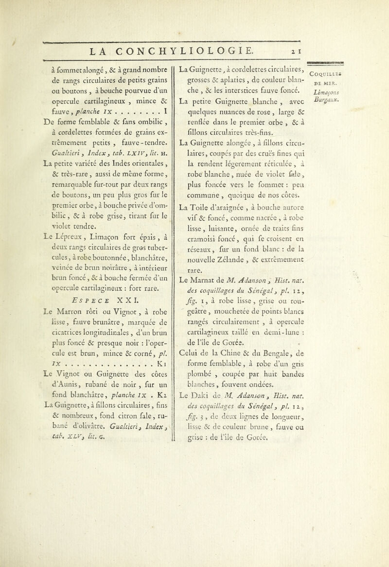 à fommet alongé , ôc à grand nombre de rangs circulaires de petits grains ou boutons, à bouche pourvue d'un opercule cartilagineux , mince ôc fauve , planche ix I De forme femblable ôc fans ombilic , à cordelettes formées de grains ex- trêmement petits , fauve-tendre. Gualtieri 3 Index 3 tab. LXIV3 lie. h. La petite variété des Indes orientales , ôc très-rare , aussi de même forme, remarquable fur-tout par deux rangs de boutons, un peu plus gros fur le premier orbe, à bouche privée d’om- bilic , ôc à robe grise, tirant fur le violet tendre. Le Lépreux , Limaçon fort épais, à deux rangs circulaires de gros tuber- cules , à robe boutonnée, blanchâtre, veinée de brun noirâtre , à intérieur brun foncé , ôc à bouche fermée d’un opercule cartilagineux : fort rare. Espece XXI. Le Marron rôti ou Vignot , à robe lisse, fauve brunâtre , marquée de cicatrices longitudinales , d’un brun plus foncé ôc presque noir : l’oper- cule est brun, mince ôc corné, pl. ix Ki Le Vignot ou Guignette des côtes d’Aunis, rubané de noir , fur un fond blanchâtre, planche ix . K 2 La Guignette, à filons circulaires , fins ôc nombreux, fond citron fale , ru- bané d’olivâtre. Gualùeri 3 Index, tab, XLVi lit. g. La Guignette, à cordelettes circulaires, grosses ôc aplaties , de couleur blan- che , ôc les interstices fauve foncé. La petite Guignette blanche , avec quelques nuances de rose , large ôc renflée dans le premier orbe , ôc à filions circulaires très-fins. La Guignette alongée , à filions circu- laires, coupés par des crues fines qui la rendent légèrement réticulée , à robe blanche , nuée de violet fale, plus foncée vers le fommet : peu commune , quoique de nos côtes. La Toile d’araignée , à bouche aurore vif ôc foncé, comme nacrée , à robe lisse, luisante, ornée de traits fins cramoisi foncé, qui fe croisent en réseaux, fur un fond blanc : de la nouvelle Zélande , ôc extrêmement rare. Le Marnat de M. Adanson 3 Hist. nat. des coquillages du Sénégal 3 pl. 12, Jîg. 1, à robe lisse , grise ou rou- geâtre , mouchetée de points blancs rangés circulairemenr , à opercule cartilagineux taillé en demi-lune : de l’île de Corée. Celui de la Chine Ôc du Bengale, de forme femblable, à robe d’un eris o plombé , coupée par huit bandes blanches, fouvent ondées. Le Daki de M. Adanson 3 Hist. nat» des coquillages du Sénégal, pl. 1 2 , fig. 3 , de deux lignes de longueur, lisse ôc de couleur brune , fauve ou grise ; de file de Corée. Coquille* BE MER. Limaçons Burgaux.