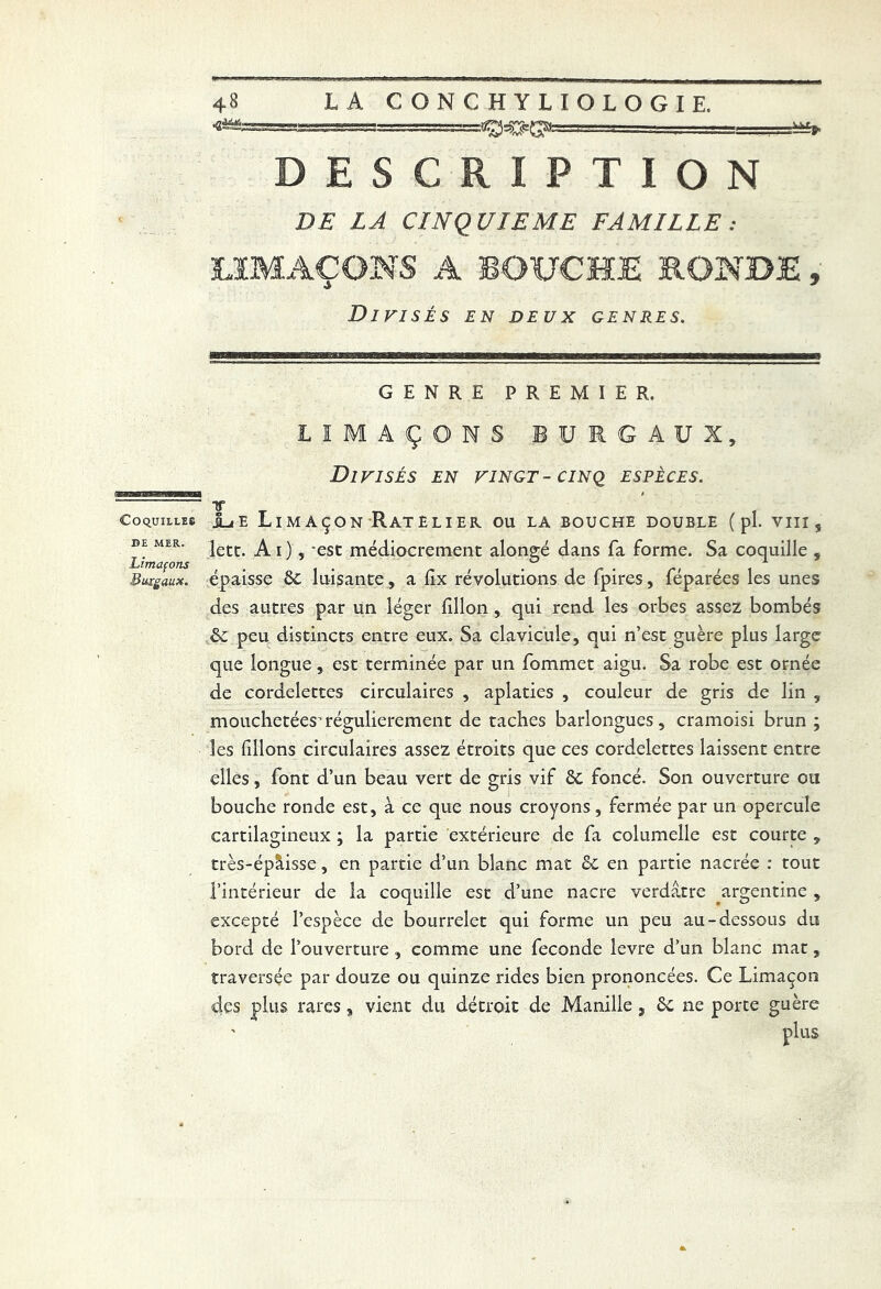 Coquilles DH MER. Limaçons Bu.xga.iix. 48 IA CONCHYLIOLOGIE. -h— ri -i DESCRIPTION DE LA CINQUIEME FAMILLE: LIMAÇONS A BOUCHE RONDE, Divisés en deux genres. GENRE PREMIER. LIMAÇONS BURGAUX, Divisés en vingt- cinq espèces. Tf iuE Limaçon Râtelier ou la bouche double ( pl. viii, lett. Ai), ‘esc médiocrement alongé dans fa forme. Sa coquille , épaisse 8c luisante, a lîx révolutions de fpires, féparées les unes des autres par un léger fillon, qui rend les orbes assez bombés 8c peu distincts entre eux. Sa clavicule, qui n’est guère plus large que longue, est terminée par un fommet aigu. Sa robe est ornée de cordelettes circulaires , aplaties , couleur de gris de lin , mouchetées'régulièrement de taches barlongues, cramoisi brun ; les fdlons circulaires assez étroits que ces cordelettes laissent entre elles, font d’un beau vert de gris vif 8c foncé. Son ouverture ou bouche ronde est, à ce que nous croyons, fermée par un opercule cartilagineux ; la partie extérieure de fa columelle est courte , très-ép&isse, en partie d’un blanc mat 8c en partie nacrée : tout l’intérieur de la coquille est d’une nacre verdâtre argentine , excepté l’espèce de bourrelet qui forme un peu au-dessous du bord de l’ouverture , comme une fécondé levre d’un blanc mat, traversée par douze ou quinze rides bien prononcées. Ce Limaçon des plus rares, vient du détroit de Manille, 8c ne porte guère