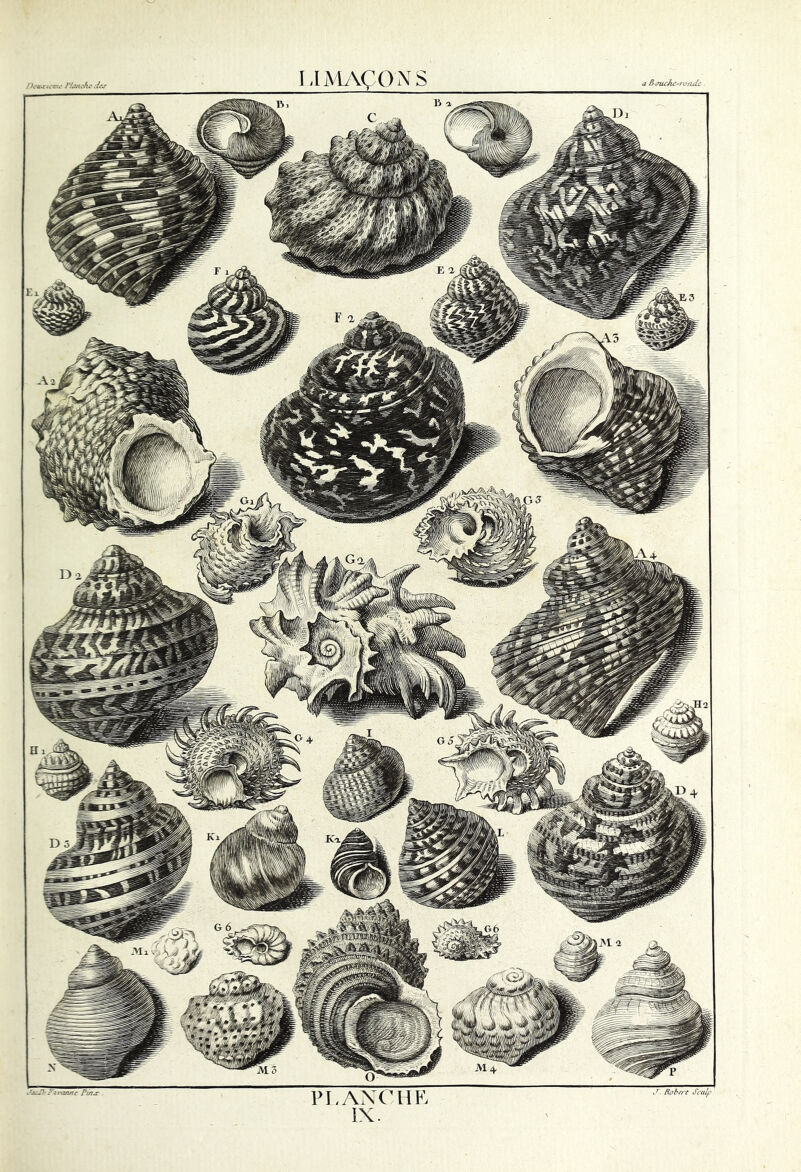 U MACO N S B jucJic-roiutc ■u.x u r:<r PLznche d&r