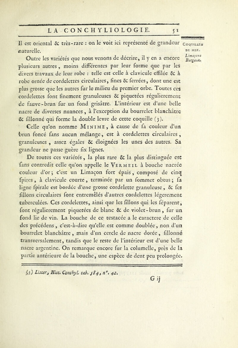 Il est oriental 8c très-rare : on le voit ici représenté de grandeur coquilles naturelle. DE MER- Outre les variétés que nous venons de décrire, il y en a encore plusieurs autres , moins différentes par leur forme que par les divers travaux de leur robe : telle est celle à clavicule effilée 8c à robe ornée de cordelettes circulaires, fines St ferrées, dont une est plus grosse que les autres fur le milieu du premier orbe. Toutes ces cordelettes font finement granuleuses 8c piquetées régulièrement de fauve-brun fur un fond grisâtre. L’intérieur est d’une belle nacre de diverses nuances , à l’exception du bourrelet blanchâtre 8c fîlionné qui forme la double levre de cette coquille (3). Celle qu’on nomme Minime, à cause de fa couleur d’un brun foncé fans aucun mélange, est à cordelettes circulaires , granuleuses , assez égales 6c éloignées les unes des autres. Sa grandeur ne passe guère fix lignes. De toutes ce s variétés, la plus rare 8c la plus distinguée esc fans contredit celle qu’on appelle le Vermeil à bouche nacrée couleur d’or ; c’est un Limaçon fort épais , composé de cinq fpires , â clavicule courte , terminée par un fommet obtus ; fa ligne fpirale est bordée d’une grosse cordelette granuleuse, 6c fes filions circulaires font entremêlés d’autres cordelettes légèrement tuberculées. Ces cordelettes, ainsi que les filons qui les féparent, font régulièrement piquetées de blanc ôc de violet-brun , fur un fond lie de vin. La bouche de ce testacée a le caractère de celle des précédens, c’est-à-dire qu’elle est comme doublée, non d’un bourrelet blanchâtre , mais d’un cercle de nacre dorée, fillonné transversalement, tandis que le reste de l’intérieur est d’une belle nacre argentine. On remarque encore fur la columelle, près de la partie antérieure de la bouche, une espèce de dent peu prolongée. lister2 HUt. Qonçhyl tab, 3843 n°. 42, G ij