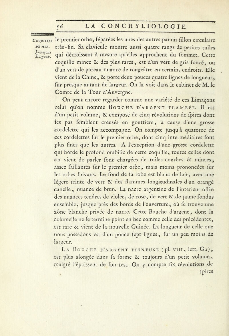 Coquilles le premier orbe, féparées les unes des autres par un fillon circulaire i>e mer. très-fin. Sa clavicule montre aussi quatre rangs de petites tuiles ijOgaux. décroissent à mesure quelles approchent du fommet. Cette coquille mince ëc des plus rares, est d’un vert de gris foncé, ou d’un vert de poreau nuancé de rougeâtre en certains endroits. Elle vient de la Chine, ëc porte deux pouces quatre lignes de longueur, fur presque autant de largeur. On la voit dans le cabinet de M. le Comte de la Tour d’Auvergne. On peut encore regarder comme une variété de ces Limaçons celui qu’on nomme Bouche d’argent flambée. Il est d’un petit volume, ëc composé de cinq révolutions de fpires dont les pas femblent creusés en gouttière, à cause d’une grosse cordelette qui les accompagne. On compte jusqu’à quatorze de ces cordelettes fur le premier orbe, dont cinq intermédiaires font plus fines que les autres. A l’exception d’une grosse cordelette qui borde le profond ombilic de cette coquille, toutes celles dont on vient de parler font chargées de tuiles courbes ëc minces, assez faillantes fur le premier orbe, mais moins prononcées fur les orbes fui vans. Le fond de fa robe est blanc de lait, avec une légère teinte de vert ëc des flammes longitudinales d’un orangé canelle , nuancé de brun. La nacre argentine de l’intérieur offre des nuances tendres de violet, de rose, de vert ëc de jaune fondus ensemble, jusque près des bords de l’ouverture, où fe trouve une Zone blanche privée de nacre. Cette Bouche d’argent, dont la jcolumelle ne fe termine point en bec comme celle des précédentes, est rare ëc vient de la nouvelle Guinée. La longueur de celle que nous possédons est d’un pouce fept lignes, fur un peu moins de largeur. La Bouche d’argent épineuse (pî. vin, lett. G:), est plus alongée dans fa forme ëc toujours d’un petit volume , malgré l’épaisseur de fou test. O11 y compte flx révolutions de fpires