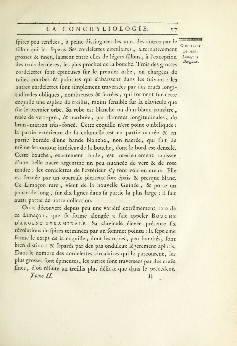 foires peu renflees , a peine distinguées les unes des autres par le * r , _ / . i i i • Coquilles lillon qui les fépare. Ses cordelettes circulaires , alternativement DE MER_ grosses 6c fines, laissent entre elles de légers filions , à l’exception Limaçons des trois dernieres, les plus proches de la bouche. Trois des grosses Su è~UX' cordelettes font épineuses fur le premier orbe , ou chargées de tuiles courbes 6c pointues qui s’abaissent dans les fui vans : les autres cordelettes font fimplement traversées par des crues longi- tudinales obliques , nombreuses 6c ferrées , qui forment fur cette coquille une espèce de treillis, moins fensible fur la clavicule que fur Je premier orbe. Sa robe est blanche ou d’un blanc jaunâtre, nuée de vert-pré , 6c marbrée, par flammes longitudinales, de brun-marron très-foncé. Cette coquille n’est point ombiliquée : la partie extérieure de fa columelle est en partie nacrée 6c en partie bordée d’une bande blanche, non nacrée, qui fuit de même le contour intérieur de la bouche, dont le bord est dentelé. Cette bouche , exactement ronde, est intérieurement tapissée d’une belle nacre argentine un peu nuancée de vert 6c de rose tendre : les cordelettes de l’extérieur s’y font voir en creux. Elle est fermée par un opercule pierreux fort épais 6c presque blanc. Ce Limaçon rare , vient de la nouvelle Guinée , 6c porte un pouce de long, fur dix lignes dans fa partie la plus large : il fait aussi partie de notre collection. On a découvert depuis peu une variété extrêmement rare de ce Limaçon, que fa forme alongée a fait appeler Bouche d’argent pyramidale. Sa clavicule élevée présente flx révolutions de fpires terminées par un fommet pointu : la feptieme forme le corps de la coquille , dont les orbes, peu bombés, font bien distincts 6c féparés par des pas onduleux légèrement aplatis. Dans le nombre des cordelettes circulaires qui la parcourent, les plus grosses font épineuses, les autres font traversées par des crues jines-, doù réfulte un treillis plus délicat que dans le précédent. Tome, IL H