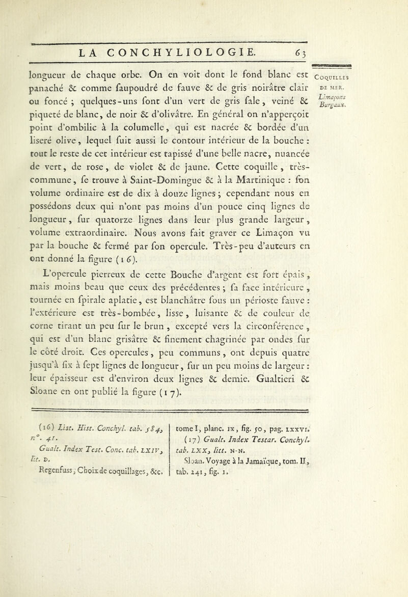 longueur de chaque orbe. On en voit dont le fond blanc est panaché 2c comme faupoudré de fauve 8c de gris noirâtre clair ou foncé ; quelques-uns font d’un vert de gris fale, veiné 8c piqueté de blanc, de noir 8c d’olivâtre. En général on n’apperçoit point d’ombilic à la columelle, qui est nacrée 8c bordée d’un liseré olive, lequel fuit aussi le contour intérieur de la bouche : tout le reste de cet intérieur est tapissé d’une belle nacre, nuancée de vert, de rose, de violet 8c de jaune. Cette coquille, très- commune , fe trouve à Saint-Domingue & à la Martinique : fbn volume ordinaire est de dix à douze lignes ; cependant nous en possédons deux qui n’ont pas moins d’un pouce cinq lignes de longueur, fur quatorze lignes dans leur plus grande largeur, volume extraordinaire. Nous avons fait graver ce Limaçon vu par la bouche 8c fermé par fon opercule. Très-peu d’auteurs en ont donné la figure (16). L’opercule pierreux de cette Bouche d’argent est fort épais, mais moins beau que ceux des précédentes ; fa face intérieure , tournée en fpirale aplatie, est blanchâtre fous un périoste fauve : l’extérieure est très-bombée, lisse, luisante 8c de couleur de corne tirant un peu fur le brun , excepté vers la circonférence s qui est d’un blanc grisâtre 8c finement chagrinée par ondes fur le coté droit. Ces opercules , peu communs , ont depuis quatre jusqu’à fîx à fept lignes de longueur, fur un peu moins de largeur 1 leur épaisseur est d’environ deux lignes 81 demie. Gualtieri 8c Sloane en ont publié la figure (1 7). Coquilles DE MER. Limaçons Burgaux* (16) List. Hist. Conchyl. tab. s%4> n°. 4-ï. Gualt. Index Test. Conc, tab. LXlVj lit. s. Regenfuss,' Choix de coquillages, tomel, plane, ix, fîg. jo, pag. lxxvl, (17) Gualt. Index Testât. Conchyh tab. LXX, litt. n-n. Sloan. Voyage à la Jamaïque, tom. II, tab. 241, fig. j.