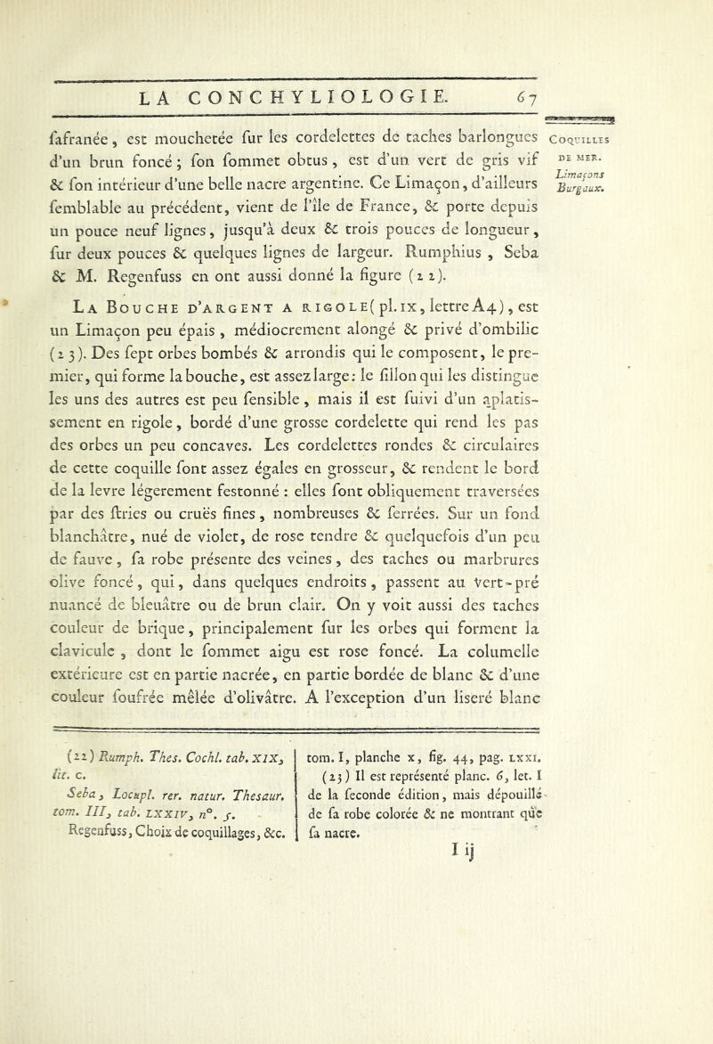 fgg»3BiaF» 'gÆWggqggg fafranée, esc mouchetée fur les cordelettes de taches barlongues coquilles d’un brun foncé ; fon fommet obtus, est d’un vert de gris vif DE MER* 6c fon intérieur d’une belle nacre argentine. Ce Limaçon, d’ailleurs burgaux. femblable au précédent, vient de l’ile de France, 6c porte depuis un pouce neuf lignes, jusqu’à deux 6c trois pouces de longueur, fur deux pouces 6c quelques lignes de largeur. Rumphius , Sebà 6c M. Regenfuss en ont aussi donné la figure (u). La Bouche d’argent a rigole( pi. ix, lettre A4), est un Limaçon peu épais , médiocrement alongé 6c privé d’ombilic (23). Des fept orbes bombés 6c arrondis qui le composent, le pre- mier, qui forme la bouche, est assez large: le fillonqui les distingue les uns des autres est peu fensible , mais il est fuivi d’un aplatis- sement en rigole, bordé d’une grosse cordelette qui rend les pas des orbes un peu concaves. Les cordelettes rondes Se circulaires de cette coquille font assez égales en grosseur, 6c rendent le bord de la levre légèrement festonné : elles font obliquement traversées par des ftries ou crues fines, nombreuses 6c ferrées. Sur un fond blanchâtre, nué de violet, de rose tendre 6c quelquefois d’un peu de fauve , fa robe présente des veines, des taches ou marbrures olive foncé, qui, dans quelques endroits, passent au Vert'pré nuancé de bleuâtre ou de brun clair. On y voit aussi des taches couleur de brique, principalement fur les orbes qui forment la clavicule , dont le fommet aigu est rose foncé. La columelle extérieure est en partie nacrée, en partie bordée de blanc 6c d’une couleur foufrée mêlée d’olivâtre. A l’exception d’un liseré blanc (--) Rumph. Thés. Cochl. tab.xix3 lit. c. Sela3 Locupl. rer. natur. Thesaur. tom. III3 tab. LXXIV3 n°. j. Regenfuss, Choix de coquillages, 3cc. tom. I, planche x, fig. 44, pag. txxi. (23) Il est représenté plane. 6, let. I de la fécondé édition, mais dépouillé de fa robe colorée & ne montrant que fa nacre. îij