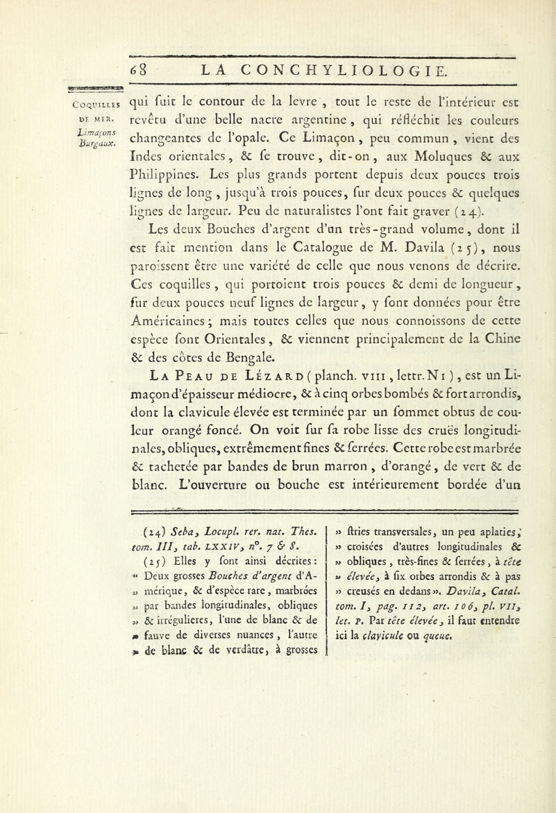 coquilles qui fuit le contour de la levre , tout le reste de l’intérieur est de mer. revêtu d’une belle nacre argentine , qui réfléchit les couleurs Murgaux. changeantes de l’opale. Ce Limaçon , peu commun , vient des Indes orientales, 6c fe trouve, dit-on, aux Moluques 6c aux Philippines. Les plus grands portent depuis deux pouces trois lignes de long , jusqu’à trois pouces, fur deux pouces 6c quelques lignes de largeur. Peu de naturalistes l’ont fait graver (14). Les deux Bouches d’argent d’un très-grand volume, dont il est fait mention dans le Catalogue de M. Davila (25), nous paroissent être une variété de celle que nous venons de décrire. Ces coquilles , qui portoient trois pouces 6c demi de longueur, fur deux pouces neuf lignes de largeur, y font données pour être Américaines ; mais toutes celles que nous connoissons de cette espèce font Orientales, 6c viennent principalement de la Chine 6c des cotes de Bengale. La Peau de Léz ard ( planch. vin , lettr.Ni ), est un Li- maçond’épaisseur médiocre, 6c à cinq orbes bombés 6c fort arrondis, dont la clavicule élevée est terminée par un fommet obtus de cou- leur orangé foncé. On voit fur fa robe lisse des crues longitudi- nales, obliques, extrêmement fines 6c ferrées. Cette robe estmarbrée 6c tachetée par bandes de brun marron , d’orangé, de vert 6c de blanc. L’ouverture ou bouche est intérieurement bordée d’un (24) Seba3 Locupl. rer. nat. Thés, tom. lîî3 tab. LXXIVj n°. 7 & S. (25) Elles y font ainsi décrites : « Deux grosses Bouches d'argent d’A- „ mérique, & d’espèce rare, marbrées par bandes longitudinales, obliques y) & irrégulières, l’une de blanc & de m fauve de diverses nuances, l’autre > de blanc 6c de verdâtre, à grosses » ftries transversales, un peu aplaties, » croisées d’autres longitudinales 6c » obliques, très-fines & ferrées, à tête » élevée 3 à fix orbes arrondis & à pas » creusés en dedans». Davila, Catah tom. /, pag. 112 3 art. ioô3 pl. Vll3 let. F. Par tête élevée 3 il faut entendre ici la clavicule ou queue.