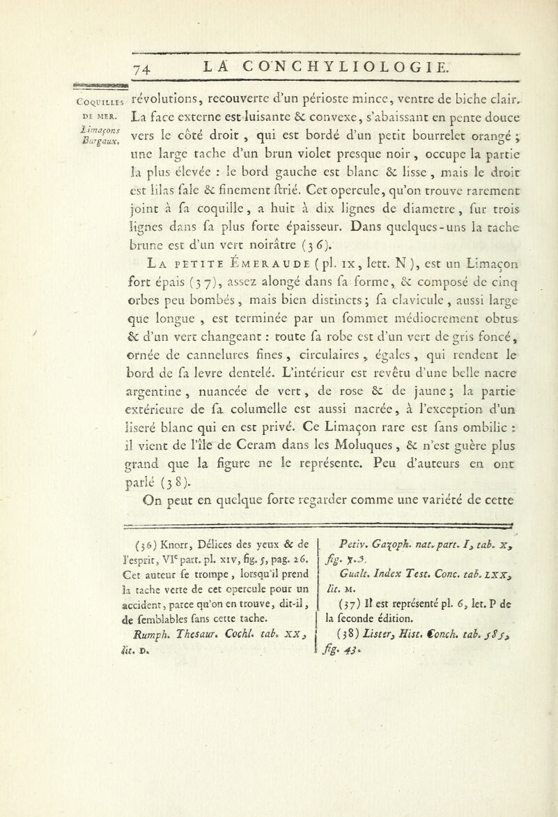 7+ ■»■ IflIIIIIIMBaMBBI Coquilles révolutions, recouverte d’un périoste mince, ventre de biche clair» de mer. faCe externe est luisante de convexe, s’abaissant en pente douce vers coté droit » qui est bordé d’un petit bourrelet orangé ; une large tache d’un brun violet presque noir , occupe la partie la plus élevée : le bord gauche est blanc de lisse, mais le droit est lilas laie de finement ftrié. Cet opercule, qu’on trouve rarement joint à fa coquille , a huit à dix lignes de diamètre , fur trois lignes dans fa plus forte épaisseur. Dans quelques-uns la tache brune est d’un vert noirâtre (36). La petite Emeraude (pi. ix, lett. N ), est un Limaçon fort épais (37), assez alongé dans fa forme, ce composé de cinq orbes peu bombés , mais bien distincts ; fa clavicule , aussi large que longue , est terminée par un fommet médiocrement obtus «Se d’un vert changeant : toute fa robe est d’un vert de gris foncé, ornée de cannelures fines , circulaires , égales , qui rendent le bord de fa levre dentelé. L’intérieur est revêtu d’une belle nacre argentine , nuancée de vert, de rose de de jaune ; la partie extérieure de fa columelle est aussi nacrée, à l’exception d’un liseré blanc qui en est privé. Ce Limaçon rare est fans ombilic : il vient de l’ile de Ceram dans les Moluques , de n^est guère plus grand que la figure ne le représente. Peu d’auteurs en ont parlé (38). On peut en quelque forte regarder comme une variété de cette (36) Knorr, Délices des yeux & de j. P cm. Ga^oph. nat, pan. Iytab. xy l’esprit j VIe part. pl. xiv, %. j, pag. 16. 1 fig. y.<3. Cet auteur fe trompe , lorsqu’il prend Gualt. Index Test. Conc. tab.LXXy la tache verte de cet opercule pour un ! lit. m. accident, parce qu’on en trouve, dit-il, j (37) Il est représenté pl. 6, let. P de de femblables fans cette tache. J la fécondé édition. Rumph.. Thesaur. Çochl. tab» XX y j (38) Lister^ Hist, €onçh. tab. lit. D. I fîg- 43*