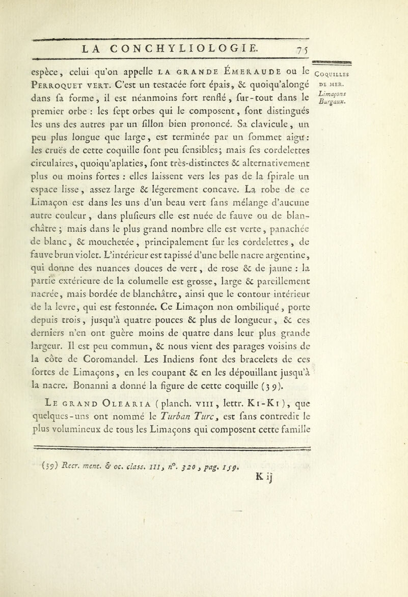 asesÆUjti iüubêbs** espèce, celui qu’on appelle la grande Emeraude ou le coquilles Perroquet vert. C’est un testacée fort épais, 6c quoiqu’alongé de mer. dans fa forme, il est néanmoins fort renflé, fur-tout dans le premier orbe : les fept orbes qui le composent, font distingués les uns des autres par un lîllon bien prononcé. Sa clavicule, un peu plus longue que large, est terminée par un fommet aigu : les crues de cette coquille font peu fensibles; mais fes cordelettes circulaires, quoiqu’aplaties, font très-distinctes &C alternativement plus ou moins fortes : elles laissent vers les pas de la fpirale un espace lisse , assez large 6c légèrement concave. La robe de ce Limaçon est dans les uns d’un beau vert fans mélange d’aucune autre couleur, dans plulieurs elle est nuée de fauve ou de blan- châtre ; mais dans le plus grand nombre elle est verte, panachée de blanc, 6c mouchetée , principalement fur les cordelettes , de fauve brun violet. L’intérieur est tapissé d’une belle nacre argentine, qui donne des nuances douces de vert, de rose 6c de jaune : la partie extérieure de la columelle est grosse, large 6c pareillement nacrée, mais bordée de blanchâtre, ainsi que le contour intérieur de la levre, qui est festonnée. Ce Limaçon non ombiliqué, porte depuis trois, jusqu’à quatre pouces 6c plus de longueur, 6c ces derniers n’en ont guère moins de quatre dans leur plus grande largeur. Il est peu commun, 6c nous vient des parages voisins de la côte de Coromandel. Les Indiens font des bracelets de ces fortes de Limaçons, en les coupant 6c en les dépouillant jusqu’à la nacre. Bonanni a donné la figure de cette coquille (39). Le grand Olearia ( planch. vin , lettr. K1-K1 ), que quelques-uns ont nommé le Turban Turc, est fans contredit le plus volumineux de tous les Limaçons qui composent cette famille (39) Rccr. ment. & oc. class. 1113 n°. 320 3 pag. 1