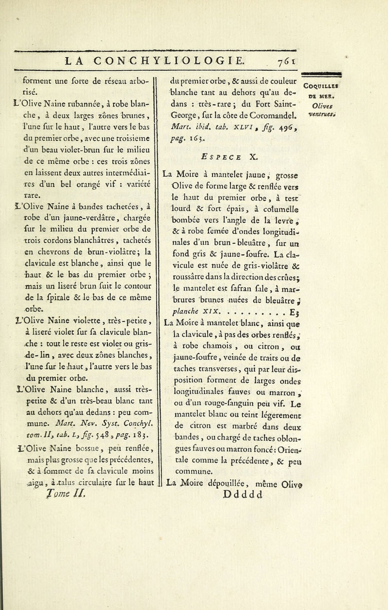 forment une forte de réseau arbo- risé. L’Olive Naine riibannée, à robe blan- che , à deux larges zones brunes, l’une fur le haut, l’autre vers le bas du premier orbe, avec une troisième d’un beau violet-brun fur le milieu de ce même orbe : ces trois zones en laissent deux autres intermédiai- res d’un bel orangé vif : variété rare. L’Olive Naine à bandes tachetées , à robe d’un jaune-verdâtre, chargée fur le milieu du premier orbe de trois cordons blanchâtres, tachetés en chevrons de brun-violâtre; la clavicule est blanche, ainsi que le haut 6c le bas du premier orbe ; mais un liseré brun fuit le contour de la fpirale 6c le bas de ce même orbe. L’Olive Naine violette, très-petite, à liseré violet fur fa clavicule blan- che : tout le reste est violet ou gris- de- lin , ayec deux zones blanches, Inné fur le haut, l’autre yers le bas du premier orbe. L’Olive Naine blanche, aussi très- petite 6c d’un très-beau blanc tant au dehors qu’au dedans : peu com- mune. Mari. Nev. Syst. Conchyl. tom. 11, tab. L3 fig. 548, pag. 183. L’Olive Naine bossue , peu renflée, mais plus grosse que les précédentes, 6c à fommet de fa clavicule moins ,aigu, à-talus circulaire furie haut J'orne II. du premier orbe , 6c aussi de couleur _ r Coquilles blanche tant au dehors qu’au de- dans : très - rare ; du Fort Saint- George , fur la côte de Coromandel. Marc. ïbid. tab. XLVI t fia. 496, pag. 163, Espece X. La Moire à mantelet jaune, grosse Olive de forme large 6c renflée vers le haut du premier orbe , à test lourd 6c fort épais, à columèlle bombée vers l’angle de la levre , &: à robe femée d’ondes longitudi- nales d’un brun - bleuâtre , fur un fond gris 6c jaune-foufre. La cla- vicule est nuée de gris-violâtre 6c roussâtre dans la direction des crCiest w le mantelet est fafran fale, à mar- brures brunes nuées de bleuâtre j planche XIX La Moire à mantelet blanc, ainsi que la clavicule , à pas des orbes renflés,’ à robe chamois , ou citron, ou jaune-foufre, veinée de traits ou de taches transverses, qui par leur dis- position forment de larges ondes longitudinales fauves ou marron , ou d’un rouge-fanguin peu vif. Le mantelet blanc ou teint légèrement de citron est marbre dans deux bandes, ou chargé de taches oblon- gues fauves ou marron foncé : Orien- tale comme la précédente , 6c peu commune. La Moire dépouillée, même Oliv§ D d d d d PE MER. Olives