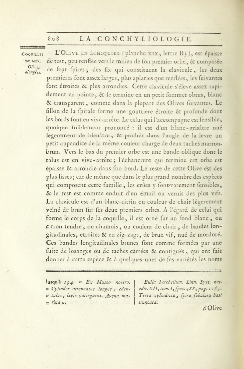 Coquilles L’Olive en échiquier (planche xix, lettre B3), est épaisse de mer. de test, peu renflée vers le milieu de Ton premier orbe, 6c composée alongUs. fpires ? des ^1X qL1i constituent la clavicule, les deux premières font assez larges, plus aplaties que renflées, les fuivantes font étroites ôc plus arrondies. Cette clavicule s’élève assez rapi- dement en pointe, 6c fe termine en un petit fommet obtus, blanc 6c transparent, comme dans la plupart des Olives fuivantes. Le fillon de la fpiralc forme une gouttière étroite 6c profonde dont les bords font en vive-arrête. Le talus qui l’accompagne est fensiblc, quoique foiblement prononcé : il est d’un blanc- grisâtre nué légèrement de bleuâtre , 6c produit dans l’angle de la levre un petit appendice de la même couleur chargé de deux taches marron- brun. Vers le bas du premier orbe est une bande oblique dont le talus est en vive-arrête; l’échancrure qui termine cet orbe est épaisse 6c arrondie dans fon bord. Le reste de cette Olive est des plus lisses; car de même que dans le plus grand nombre des espèces qui composent cette famille , les crues y font/rarement lensiblcs, 6c le test est comme enduit d’un émail ou vernis des plus vifs. La clavicule est d’un blanc-citrin ou couleur de chair légèrement veiné de brun fur fes deux premiers orbes. A l’égard de celui qui forme le corps de la coquille, il est orné fur un fond blanc , ou citron tendre , ou chamois , ou couleur de chair , de bandes lon- gitudinales, étroites 6c en zig-zags, de brun vif, nué de mordoré. Ces bandes longitudinales brunes font comme formées par une fuite de losanges ou de taches carrées 6c contiguës , qui ont fait donner à cette espèce 6c à quelques-unes de fes variétés les noms jusqu’à. 194. « Ex Museo nostro. j Bulla Terebellum. Linn. Syst. nat. » Cylinder attenuatus longus , eden* 1 edit.XII} tom.I3 fpec.3883 pag. 1 iSj- » tulus, Uvis yariegatus. Avenu ma- Testa cylindrica } fpira fubulata basi » rina «. | cruncata. d’Olive