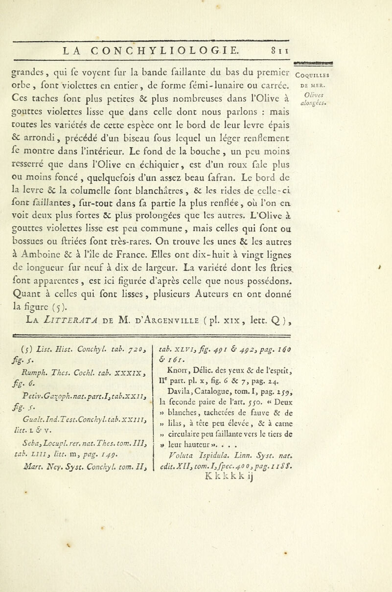 t&txueaa&imriBwa grandes , qui fe voyent fur la bande Taillante du bas du premier orbe, font violettes en entier, de forme fémi-lunaire ou carrée. Ces taches font plus petites Sc plus nombreuses dans l’Olive à gouttes violettes lisse que dans celle dont nous parlons : mais toutes les variétés de cette espèce ont le bord de leur levre épais & arrondi, précédé d’un biseau fous lequel un léger rendement fe montre dans l’intérieur. Le fond de la bouche , un peu moins resserré que dans l’Olive en échiquier, est d’un roux fale plus ou moins foncé , quelquefois d’un assez beau fafran. Le bord de la levre 2c la columelle font blanchâtres , 2c les rides de celle-ci font faillantes, fur-tout dans fa partie la plus renflée, oii l’on en voit deux plus fortes 2c plus prolongées que les autres. L’Olive à gouttes violettes lisse est peu commune , mais celles qui font ou bossues ou (triées font très-rares. On trouve les unes 2c les autres à Amboine 2c à l’île de France. Elles ont dix-huit à vingt lignes de longueur fur neuf à dix de largeur. La variété dont les ftries font apparentes , est ici figurée d’après celle que nous possédons. Quant à celles qui font lisses , plusieurs Auteurs en ont donné la figure ( 5 ). La Litterata de M. d’Argenville ( pi. xix, lett. Q), Coquilles DE MER. Olives données. (j) List. Hist. Conchyl. tab. y20, fg- /• Rumph. Thcs. Cochl. tab. XXXIX, fg- £ Petiv.Ga~oph.nat.part.I,tab.XXll, fg- S- Gualt. Ind.Test.Conchyl. tab. XX il 1, litt. L & v. Seba, Locupl. rer. nat. Thés. tom. III, tab. lui, litt. m, pag. 14p. Mart. Ney. Syst. Conchyl, tom. II, tab. XLVi, fg. 4Q1 & 2, pag. idO & 161. Knorr, Délie, des yeux & de l’esprit, IIe part. pl. x, fig. 6 8c 7, pag. 24. Davila, Catalogue, tom. I, pag. 2/9, la fécondé paire de l’art, jyo. « Deux 35 blanches, tachetées de fauve & de J3 lilas, à tête peu élevée, & à carne 33 circulaire peu Taillante vers le tiers de » leur hauteur 3>. . . . Voluta Ispïdula. Linn. Syst. nat. edit.XH, tom.I3fpec.40 0,pag. 11S S. K k k k k ij