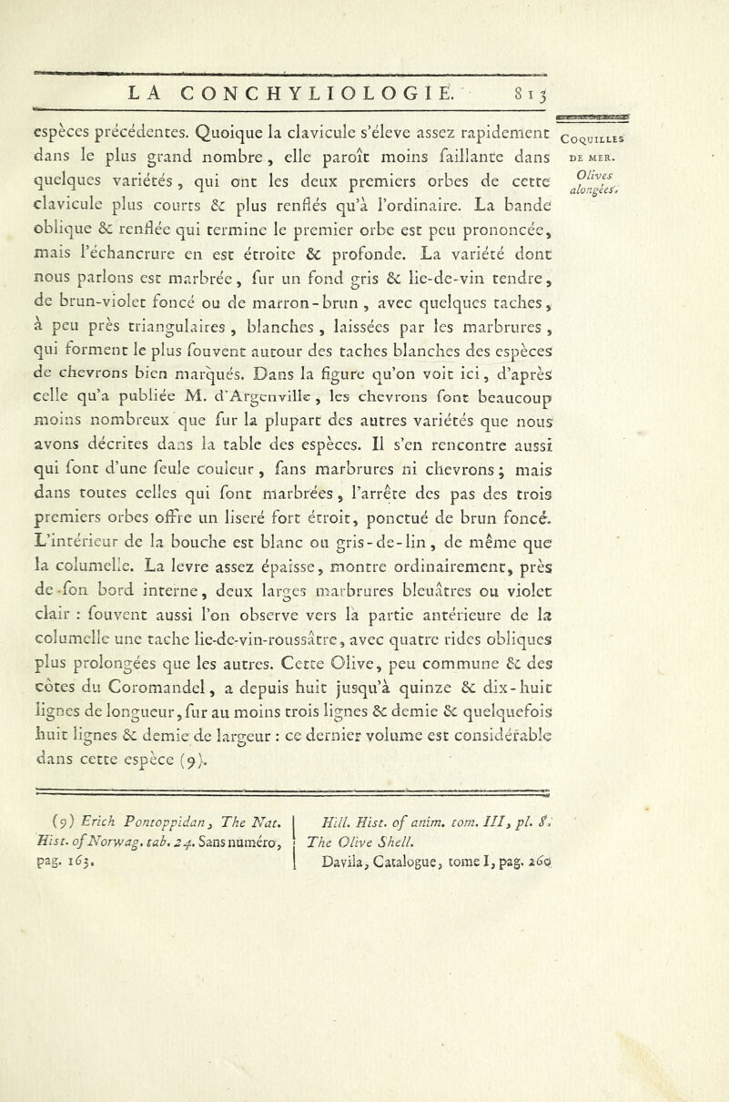 ■a maaaaeâtBgasg espèces précédentes. Quoique la clavicule s’élève assez rapidement dans le plus grand nombre, elle paroit moins Taillante dans quelques variétés , qui ont les deux premiers orbes de cette clavicule plus courts de plus renflés qu’à l’ordinaire. La bande oblique de renflée qui termine le premier orbe est peu prononcée, mais l’échancrure en est étroite de profonde. La variété dont nous parlons est marbrée, fur un fond gris de lie-de-vin tendre, de brun-violet foncé ou de marron-brun , avec quelques taches, à peu près triangulaires , blanches , laissées par les marbrures , qui forment le plus fouvent autour des taches blanches des espèces de chevrons bien marqués. Dans la figure qu’on voit ici, d’après celle qu’a publiée M. cTArgenville , les chevrons font beaucoup moins nombreux que fur la plupart des autres variétés que nous avons décrites dans la table des espèces. Il s’en rencontre aussi qui font d’une feule couleur, fans marbrures ni chevrons; mais dans toutes celles qui font marbrées , l’arrête des pas des trois premiers orbes offre un liseré fort étroit, ponctué de brun foncé. L’intérieur de la bouche est blanc ou gris-de-lin, de même que la columelie. La levre assez épaisse, montre ordinairement, près de -fon bord interne, deux larges marbrures bleuâtres ou violet clair : fouvent aussi l’on observe vers la partie antérieure de la columelie une tache lie-de-vin-roussâtre, avec quatre rides obliques plus prolongées que les autres. Cette Olive, peu commune de des côtes du Coromandel, a depuis huit jusqu’à quinze de dix-huit lignes de longueur,fur au moins trois lignes de demie de quelquefois huit lignes de demie de largeur : ee dernier volume est considérable dans cette espèce (<*}, (9) Erich Pontoppidan 3 The Nat. I Hill. Hist. of anim. tom. III, pi. A Hist. of Norwag.tab. 24. Sans numéro, j The Olive Shell. pag. 165* 1 Daviia, Catalogue, tome I, pag. 2.60 COQUIILES DE MER. Olives