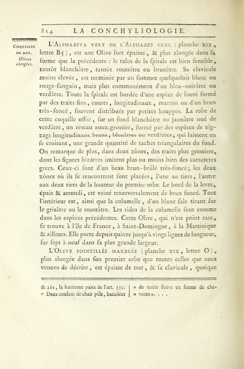 Coquilles DE MER. Olives alongées. L’Alphabeta vert ou l’Alphabet grec ( planche xix , lettre B5), est une Olive fort épaisse , ôc plus alongéc dans fa forme que la précédente : le talus de la fpirale est bien fensible, tantôt blanchâtre, tantôt roussatre ou brunâtre. Sa clavicule moins élevée , est terminée par un fommet quelquefois blanc ou rouge-fanguin, mais plus communément d’un bleu-noirâtre ou verdâtre. Toute la fpirale est bordée d’une espèce de liseré formé par des traits fins, courts , longitudinaux , marron ou d’un brun très-foncé, fouvent distribués par petites houppes. La robe de cette coquille offre, fur un fond blanchâtre ou jaunâtre nué de verdâtre, un réseau assez grossier, formé par des espèces de zig- zags longitudinaux bruns, bleuâtres ou verdâtres, qui laissent en fe croisant, une grande quantité de taches triangulaires du fond. On remarque de plus, dans deux zones, des traits plus grossiers, dont les figures bizarres imitent plus ou moins bien des caractères grecs. Ceux-ci font d’un beau brun-brûlé très-foncé; les deux zones où ils fe rencontrent font placées, l’une au tiers, l’autre aux deux tiers de la hauteur du premier orbe. Le bord de la levre, épais ôt arrondi, est veiné transversalement de brun foncé. Tout l’intérieur est, ainsi que la columelle , d’un blanc fale tirant fur le grisâtre ou le roussâtre. Les rides de la columelle font comme dans les espèces précédentes. Cette Olive , qui n’est point rare , fe trouve à l’île de France , à Saint-Domingue, à la Martinique & ailleurs. Elle porte depuis quinze jusqu’à vingt lignes de longueur, fur fept à neuf dans fa plus grande largeur. L’Olive pointillee marbrée (planche xix , lettre O), plus alongée dans fon premier orbe que toutes celles que nous venons de décrire , est épaisse de test , ôc fa clavicule, quoique & xG\, la huitième pake de l’ait, jj-;. » de traits fauve en forme de che- ec Deux couleur de chair pâle, bariolées » vrons». . . .