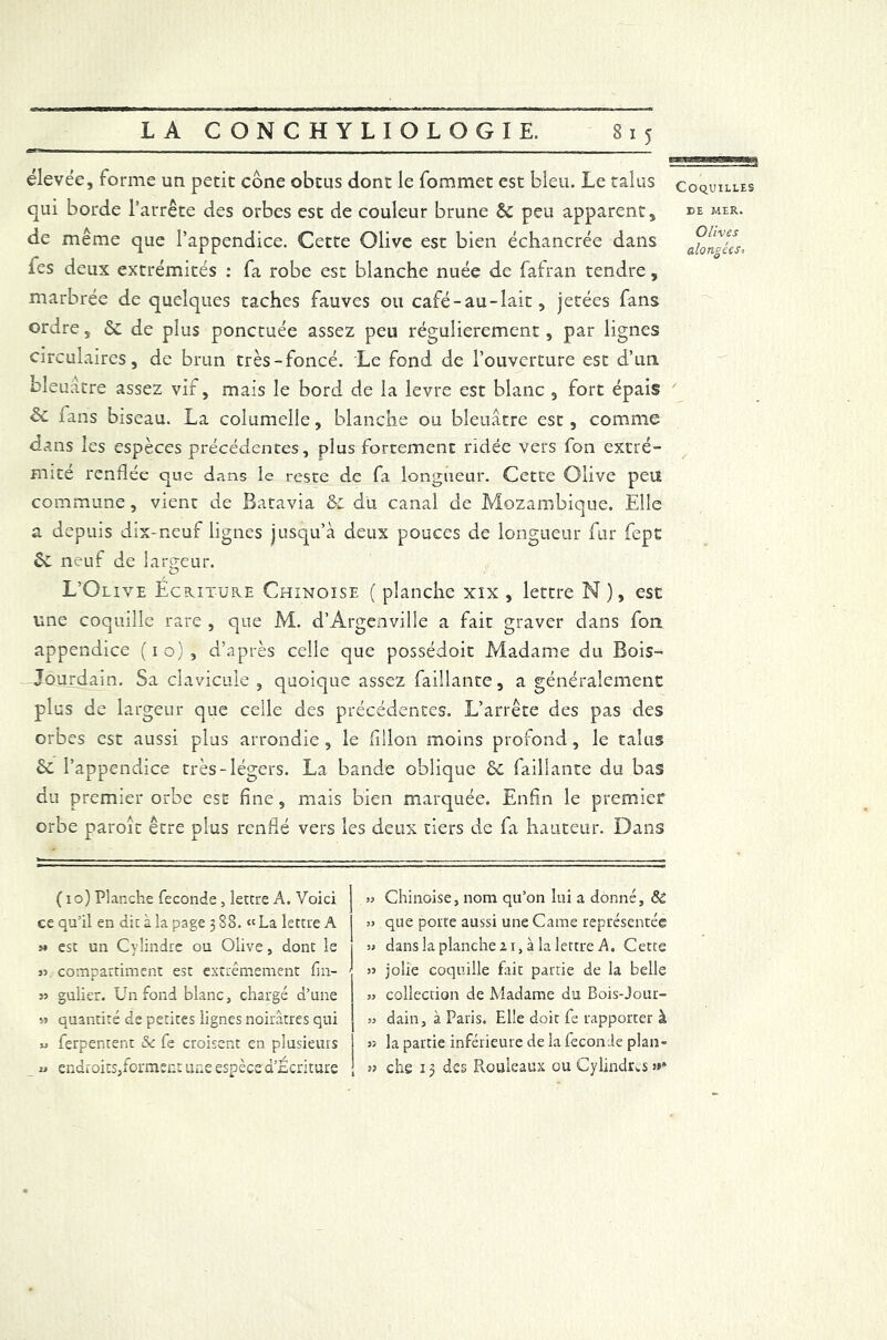 élevée, forme un petit cône obtus dont le fommet est bleu. Le talus coquilles qui borde l’arrête des orbes est de couleur brune & peu apparent, mer. de même que l’appendice. Cette Olive est bien échancrée dans °on°Tis, les deux extrémités : fa robe est blanche nuée de fafran tendre, marbrée de quelques taches fauves ou café-au-lait, jetées fans ordre, de plus ponctuée assez peu régulièrement, par lignes circulaires, de brun très-foncé. Le fond de l’ouverture est d’un, bleuâtre assez vif, mais le bord de la levre est blanc , fort épais fans biseau. La columelle, blanche ou bleuâtre est, comme dans les espèces précédentes, plus fortement ridée vers fon extré- mité renflée que dans le reste de fa longueur. Cette Olive peu commune , vient de Batavia & du canal de Mozambique. Elle a depuis dix-neuf lignes jusqu'à deux pouces de longueur fur fept êc neuf de largeur. L’Olive Écriture Chinoise ( planche xix , lettre N), est une coquille rare , que M. d’Argenville a fait graver dans fon appendice ( i o) , d’après celle que possédoit Madame du Bois- Jourdain. Sa clavicule , quoique assez faillante, a généralement plus de largeur que celle des précédentes. L’arrête des pas des orbes est aussi plus arrondie , le flilon moins profond, le talus de l’appendice très-légers. La bande oblique de faillante du bas du premier orbe esc fine, mais bien marquée. Enfin le premier orbe paroît être plus renflé vers les deux tiers de fa hauteur. Dans ( io) Planche fécondé , lettre A. Voici ce qu’il en dit à la page 3 88. « La lettre A >» est un Cylindre ou Olive, dont le j) compartiment est extrêmement fm- 3j gulier. Un fond blanc, chargé d’une V3 quantité de petites lignes noirâtres qui u ferpentent Sc fe croisent en plusieurs u endroits,forment une espèce d’Écriture Chinoise, nom qu’on lui a donné, <$£ que porte aussi une Came représentée dans la planche a 1, à la lettre A. Cette jolie coquille fait partie de la belle collection de Madame du Bois-Jour- dain, à Paris. Elle doit fe rapporter à la partie inférieure de la leconie plan- che 13 des Rouleaux ou Cylindres s»*
