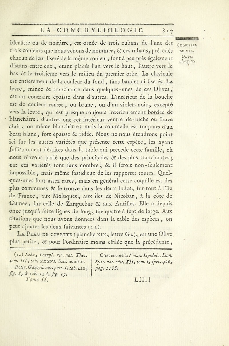 flr^*,tii* iilârMgseEÊ bleuâtre ou de noirâtre, esc ornée de trois rubans de l’une des coquilles trois couleurs que nous venons de nommer, de ces rubans, précédés de mer. chacun de leur liseré de la même couleur, font à peu près également distans entre eux , étant placés l’un vers le haut, l’autre vers le bas de le troisième vers le milieu du premier orbe. La clavicule est entièrement de la couleur du fond, fans bandes ni liserés. La. levre, mince de tranchante dans quelques-unes de ces Olives, est au contraire épaisse dans d’autres. L’intérieur de la bouche est de couleur rousse, ou brune, ou d’un violet-noir, excepté vers la levre, qui est presque toujours intérieurement bordée de blanchâtre: d’autres ont cet intérieur ventre-de-biche ou fauve clair, ou même blanchâtre; mais la columelle est toujours d’un beau blanc, fort épaisse de ridée. Nous ne nous étendrons point ici fur les autres variétés que présente cette espèce, les ayant fuffisamment décrites dans la table qui précédé cette famille, où nous n’avons parlé que des principales de des plus tranchantes j car ces variétés font fans nombre, de il feroit non-feulement impossible, mais même fastidieux de les rapporter toutes. Quel- ques-unes font assez rares, mais en générai cette coquille est des plus communes de fe trouve dans les deux Indes, fur-tout à File ■de France, aux Moluques , aux îles de Nicobar , à la cote de Guinée, fur celle de Zanguebar de aux Antilles. Elle a depuis onze jusqu’à feize lignes de long, fur quatre à fept de large. Aux citations que nous avons données dans la table des espèces , ou peut ajouter les deux fuivantes (12). La Peau de civette (planche xix, lettre Gi), est une Olive plus petite, & pour l’ordinaire moins effilée que la précédente, (12) Seba3 Locupl. rer.nat. Thés. 1 C’est encore la Voluta Ispïdula. Lïnn. sorti. 111 j tab. xxxvi. Sans numéro. 1 Syst. nat. edit. XIIj tom. I3 fpec. 40 0j Petiv.Gaioph.nat.part.Ijtctb.LIXj pag.1188. fig. 8j 6 tab. is6j fig. iç.