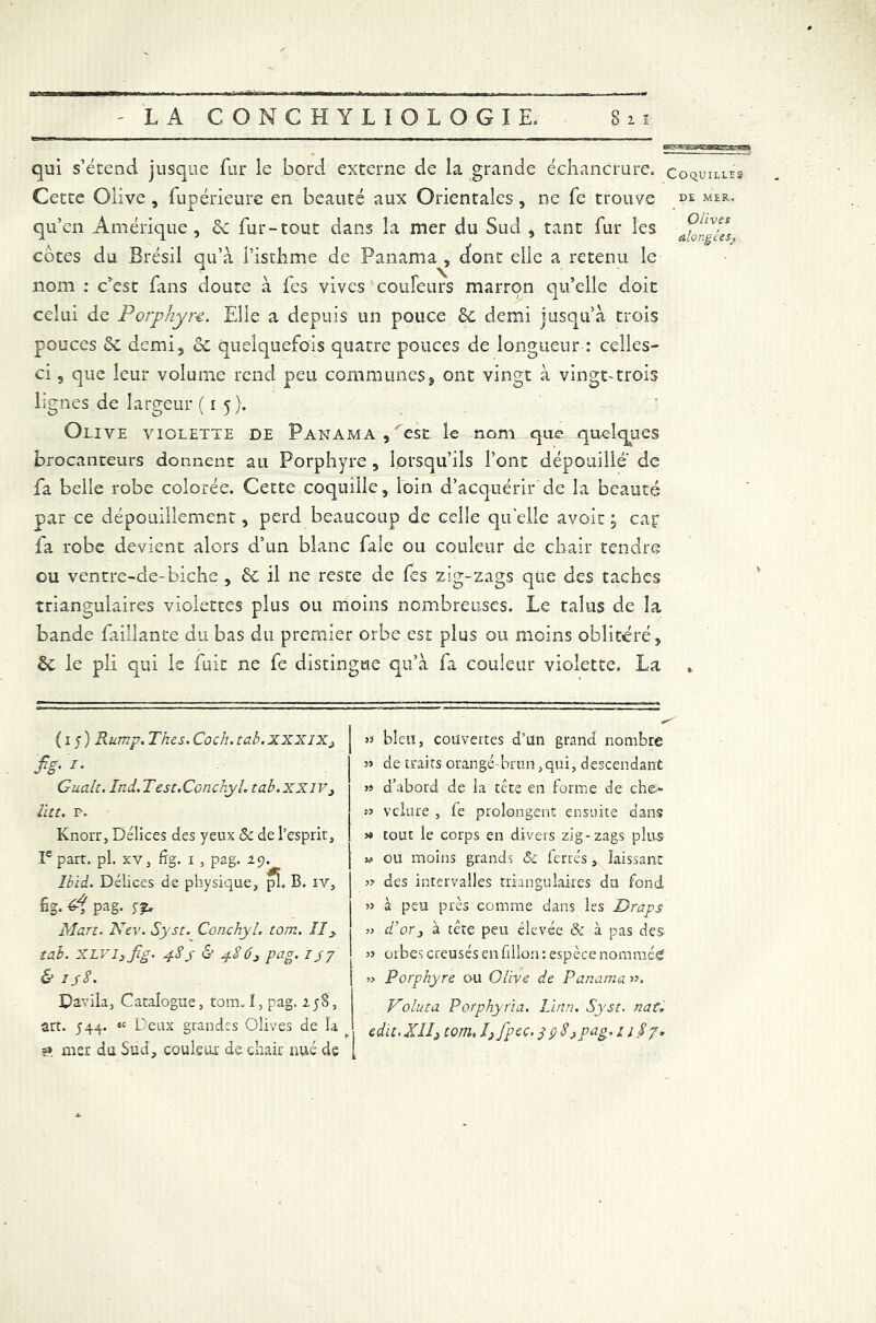 qui s’étend jusque fur le bord externe de la grande échancrure, coquilles Cette Olive, fupérieure en beauté aux Orientales, ne fe trouve ^ mer, qu’en Amérique, & fur-tout dans la mer du Sud , tant fur les yJryes, cotes du Brésil qu’à l’isthme de Panama , dont elle a retenu le nom : c’est fans doute à fes vives couleurs marron qu’elle doit celui de Porphyre. Elle a depuis un pouce 6c demi jusqu’à trois pouces 6c demi, 6c quelquefois quatre pouces de longueur : celles- ci 9 que leur volume rend peu communes, ont vingt à vingt-trois lignes de largeur (15). Olive violette de Panama , est le nom que quelques brocanteurs donnent au Porphyre , lorsqu’ils l’ont dépouille de fa belle robe colorée. Cette coquille, loin d’acquérir de la beauté par ce dépouillement, perd beaucoup de celle quelle avoir j cap fa robe devient alors d’un blanc fale ou couleur de chair tendre ou ventre-de-biche , 6c il 11e reste de fes zig-zags que des taches triangulaires violettes plus ou moins nombreuses. Le talus de la bande faiiiante du bas du premier orbe est plus ou moins oblitéré, 6c le pli qui le fuit ne fe distingue qu’à fa couleur violette. La (i y) Rump. Thés. Coch.tab. XXXIX3 [ fg- '*• | Gualt. Ind.Test.Conchyh tab.XXlV3 | lut. P. Knorr, Délices des yeux & de l’esprit, | Ie part. pl. xv, fîg. 1 , pag. 19^ Ibid. Délices de physique, pl. B. iv, j fig- pag- 5> Mart. Kev. Syst. Cotichyl. tom. IIy tab. XLV l3 fig. 48 j & 48 b j pag. 1 jj & 148. Davila, Catalogue, tom. I, pag. zj8, art. 544. «c Deux grandes Olives de la 5» mer du Sud, couleur de chair nué de >5 bleu, couvertes d’ün grand nombre » de traits orangé-brun,qui, descendant » d’abord de la tête en forme de che- ;> vclure , fe prolongent ensuite dans » tout le corps en divers zig-zags plus w ou moins grands & ferrés, laissant » des intervalles triangulaires du fond >5 à peu près comme dans les Draps » d’or3 à tête peu élevée & à pas des >y orbes creusés en fillon : espèce nommée » Porphyre ou Olive de Panama Voluta Porphyria. Linn. Syst. nat* edit.XII3 tom, îj fpc^39$>Pag'