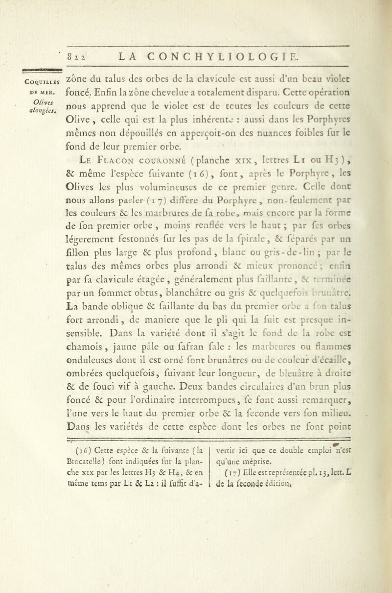 DE MER. Olives alongécs. 822 LA CONCHYLIOLOGIE. zone du talus des orbes de la clavicule est aussi d’un beau violet foncé. Enfin la zone chevelue a totalement disparu. Cette opération nous apprend que le violet est de toutes les couleurs de cette Olive , celle qui est la plus inhérente : aussi dans les Porphyres mêmes non dépouillés en apperçoit-on des nuances foibles iur le fond de leur premier orbe. Le Flacon couronné (planche xix, lettres Li ou H3), 8c même l’espèce fuivante (16), font, après le Porphyre, les Olives les plus volumineuses de ce premier genre. Celle dont nous allons parler (17) difFerc du Porphyre, non - feulement par les couleurs 5c les marbrures de fa robe, mais encore par la forme de fon premier orbe , moins renflée vers le haut ; par fs orbes légèrement festonnés fur les pas de la fpirale, 6c féparés par un Filon plus large 8c plus profond, blanc ou gris-de-lin ; par le talus des mêmes orbes plus arrondi 6c mieux prononc cr par fa clavicule étagée, généralement plus faisante, 6c * rnrnëe par un fommet obtus, blanchâtre ou gris 5c quelque 'o ' • arre. La bande oblique 5c faillante du bas du premier orbe .. talus fort arrondi, de maniéré que le pli qui la luit est presque ;n- sensible. Dans la variété dont il s’agit le fond de la robe est chamois , jaune pâle ou fafran file : les marbrures ou flammes onduleuses dont il est orné font brunâtres ou de cou'eur d’écaihe, ombrées quelquefois, fuivant leur longueur, de bleuâtre à droite 5c de fouci vif à gauche. Deux bandes circulaires d’un brun plus foncé 8c pour l’ordinaire interrompues, fe font aussi remarquer, l’une vers le haut du premier orbe 6c la fécondé vers ion milieu. Dans les variétés de cette espèce dont les orbes ne font point (16) Cette espèce & la fuivante (la Brocatelle ) font indiquées fur la plan- che xix par les lettres H3 8c Hq, & en même teras par Li 5c L2 ; il Jfuffit d'a- vertir ici que ce double emploi n’est qu'une méprise. (17) Elle est représentée pl. 13,1ère. L de la fecoude édition,