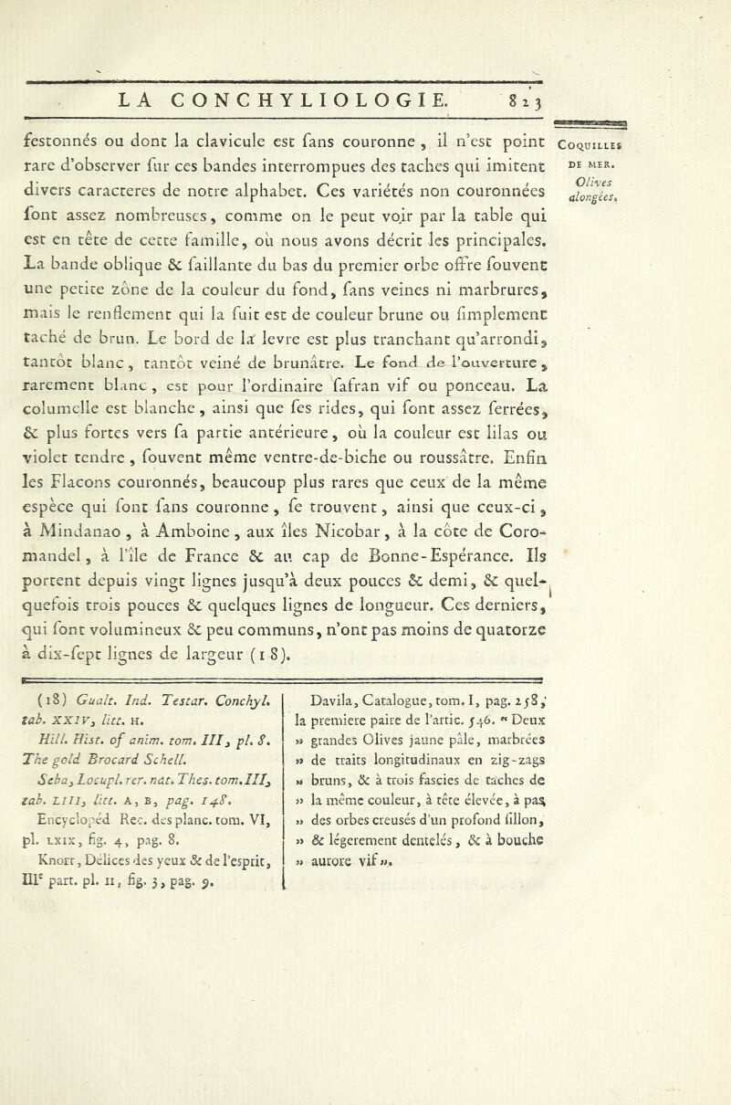 festonnés ou dont la clavicule est fans couronne , il n’est point rare d’observer fur ces bandes interrompues des taches qui imitent divers caractères de notre alphabet. Ces variétés non couronnées font assez nombreuses, comme on le peut voir par la table qui est en tête de cette famille, oh nous avons décrit les principales. La bande oblique 6c faillante du bas du premier orbe offre fouvenC une petite zone de la couleur du fond, fans veines ni marbrures, mais le renflement qui la fuit est de couleur brune ou Amplement taché de brun. Le bord de la levre est plus tranchant qu’arrondi, tantôt blanc, tantôt veiné de brunâtre. Le fond de l’ouverture, rarement blanc , est pour l’ordinaire fafran vif ou ponceau. La columelle est blanche, ainsi que fes rides, qui font assez ferrées, 6c plus fortes vers fa partie antérieure, oh la couleur esc lilas ou violet tendre , fouvent même ventre-de-biche ou roussatre. Enfin les Flacons couronnés, beaucoup plus rares que ceux de la même espèce qui iont lans couronne , fe trouvent, ainsi que ceux-ci, à Mindanao , à Amboine , aux îles Nicobar, à la côte de Coro- mandel, à l’île de France 6c au cap de Bonne-Espérance. Ils portent depuis vingt lignes jusqu’à deux pouces 6c demi, 6c quel- quefois trois pouces 6c quelques lignes de longueur. Ces derniers, qui iont volumineux 6c peu communs, n’ont pas moins de quatorze à dix-fept lignes de largeur (1 8). (18) Gualt. Ind. Testar. Conchyl. tab. xxiv, lut. h. HUI. Hïst. of anïm. tom. III3 pi 8. The gold Brocard Schell. Sebaj Locupl. rer. nat. Thés. tom.III3 tab. liiij lut. a, b, pag. 14.8. Encyclopéd Rec. des plane, tom. VI, pl. lxix, fig. 4, pag. 8. Knorr, Delices des yeux & de l’esprit, IIIe part. pl. xi, fig. 3, pag. 9. Bavila, Catalogue, tom, I, pag. 258,' la première paire de Partie. 546. « Deux » grandes Olives jaune pâle, marbrées » de traits longitudinaux en zig-zags » bruns, & à trois fascies de taches de JJ la même couleur, à têre élevée, à pa$ .> des orbes creusés d’un profond illlon, & légèrement dentelés, & à bouche » aurore vif». Coquilles de MER. Olives alongées»