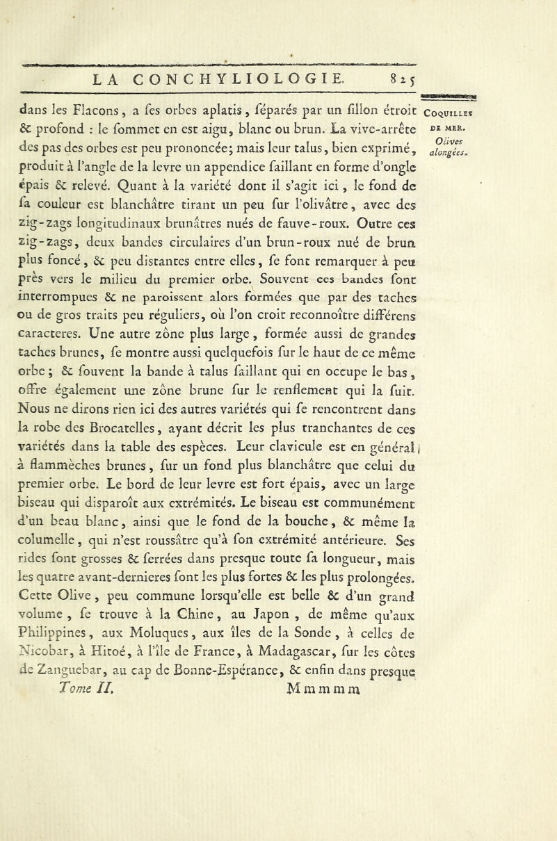 dans les Flacons, a Tes orbes aplatis, féparés par un fillon étroit coquilles 6c profond : le fommet en est aigu, blanc ou brun. La vive-arrête DE MER- des pas des orbes est peu prononcée; mais leur talus, bien exprimé, longées. produit à l’angle de la levre un appendice Taillant en forme d’ongle épais 6c relevé. Quant à la variété dont il s’agit ici, le fond de ia couleur est blanchâtre tirant un peu fur l’olivâtre, avec des zig-zags longitudinaux brunâtres nués de fauve-roux. Outre ces zig-zags, deux bandes circulaires d’un brun-roux nué de brun, plus foncé, 6c peu distantes entre elles, fe font remarquer à peu près vers le milieu du premier orbe. Souvent ccs bandes font interrompues 6c ne paroissent alors formées que par des taches ou de gros traits peu réguliers, où l’on croit reconnoître différens caractères. Une autre zone plus large, formée aussi de grandes taches brunes, fe montre aussi quelquefois fur le haut de ce même orbe ; 6c fouvent la bande à talus faillant qui en occupe le bas, offre également une zone brune fur le renflement qui la fuit. Nous ne dirons rien ici des autres variétés qui fe rencontrent dans la robe des Brocatelles, ayant décrit les plus tranchantes de ces variétés dans la table des espèces. Leur clavicule est en général] à flammèches brunes, fur un fond plus blanchâtre que celui du premier orbe. Le bord de leur levre est fort épais, avec un large biseau qui disparoît aux extrémités. Le biseau est communément d’un beau blanc, ainsi que le fond de la bouche, 6c même la columelle s qui n’est roussâtre qu’à fon extrémité antérieure. Ses rides font grosses 6c ferrées dans presque toute fa longueur, mais les quatre avant-dernieres font les plus fortes 6c les plus prolongées. Cette Olive , peu commune lorsqu’elle est belle 6c d’un grand volume , fe trouve à la Chine, au Japon , de même qu’aux Philippines, aux Moluques , aux îles de la Sonde , à celles de Nicobar, à Hitoé, à l’île de France, à Madagascar, fur les cotes de Zanguebar, au cap de Bonne-Espérance, 6c enfin dans presque Tome II, M m m m m