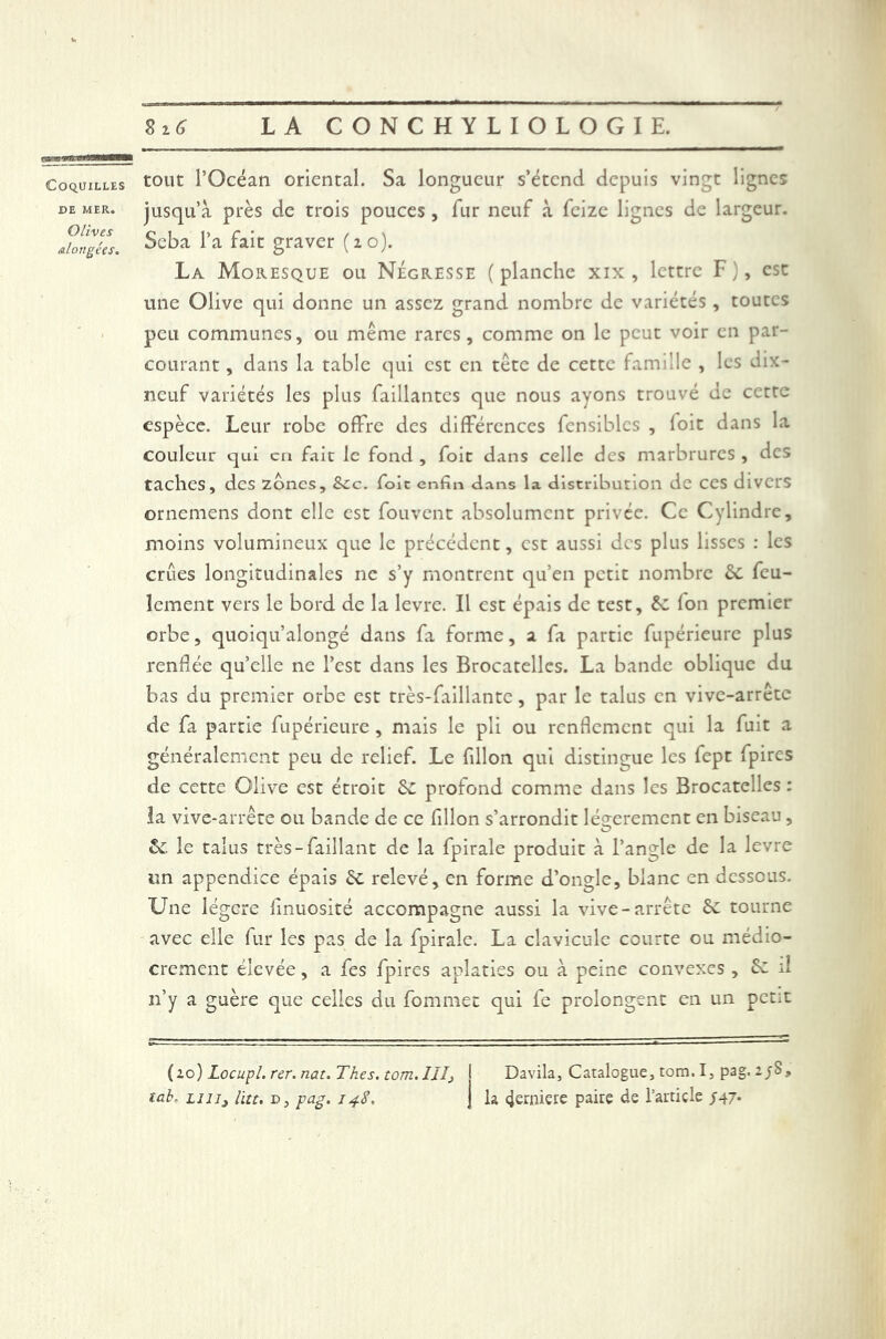 Coquilles tout l’Océan oriental. Sa longueur s’étend depuis vingt lignes »e mer. jusqu’à près de trois pouces, lur neuf à feize lignes de largeur. Jhngéfs. Scba 1>a fait graver (2 °)- La Moresque ou Négresse (planche xix , lettre F), esc une Olive qui donne un assez grand nombre de variétés , toutes peu communes, ou même rares, comme on le peut voir en par- courant , dans la table qui est en tête de cette famille , les dix- neuf variétés les plus Taillantes que nous ayons trouvé de cette espèce. Leur robe offre des différences fensiblcs , foie dans la couleur qui eu fait le fond , foie dans celle des marbrures , des taches, des zones, Szc. foie enfin dans la distribution de ces divers ornemens dont elle est fouvent absolument privée. Ce Cylindre, moins volumineux que le précédent, est aussi des plus lisses : les crues longitudinales ne s’y montrent qu’en petit nombre 6c feu- lement vers le bord de la levre. Il est épais de test, 6c fon premier orbe, quoiqu’alongé dans fa forme, a fa partie fupérieure plus renflée qu’elle ne l’est dans les Brocatelles. La bande oblique du bas du premier orbe est très-faillante, par le talus en vivc-arrêtc de fa partie fupérieure, mais le pli ou renflement qui la fuit a généralement peu de relief. Le fillon qui distingue les fept fpircs de cette Olive est étroit 6c profond comme dans les Brocatelles : la vive-arrête ou bande de ce fillon s’arrondit légèrement en biseau, 6c le talus très-Taillant de la fpirale produit à l’angle de la levre un appendice épais 6c relevé, en forme d’ongle, blanc en dessous. Une légère finuosité accompagne aussi la vive-arrête 6c tourne avec elle fur les pas de la fpirale. La clavicule courte ou médio- crement élevée, a fes fpires aplaties ou à peine convexes , 6c il n’y a guère que celles du fommet qui fe prolongent en un petit (io) Locupl. rer. nat. Thés. tom.IJIj tah. liu3 lut. r>, pag. 14S, Davila, Catalogue, tom. I, pag. 2/S, la (jerniete paire de l’article J47-