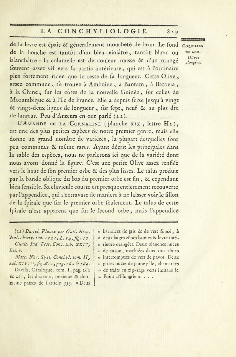 LA CONCHYLIOLOGIE. 829 de la levre esc épais & généralement moucheté de brun. Le fond coquilles de la bouche est tantôt d’un bleu - violâtre, tantôt blanc ou Bï M£L blanchâtre : la columelle est de couleur rousse ôc d’un orangé aïongéu, fouvent assez vif vers fa partie antérieure, qui est à l’ordinaire plus fortement ridée que le reste de fa longueur. Cette Olive, assez commune, fe trouve à Amboine , à Bantam, à Batavia , à la Chine, fur les côtes de la nouvelle Guinée, fur celles de Mozambique & à i’îîe de France. Elle a depuis feize jusqu’à vingt & vingt-deux lignes de longueur , fur fept, neuf ôc au plus dix . de largeur. Peu d’Auteurs en ont parlé (22). L’Amande ou la Cornaline (planche xix , lettre Hz), est une des plus petites espèces de notre premier genre, mais elle donne un grand nombre de variétés , la plupart desquelles font peu communes ôc même rares. Ayant décrit les principales dans la table des espèces, nous ne parlerons ici que de la variété dont nous avons donné la figure. C’est une petite Olive assez renflée vers le haut de fon premier orbe & des plus lisses. Le talus produit par la bande oblique du bas du premier orbe est fin , cependant bien fensible. Sa clavicule courte est presque entièrement recouverte par l’appendice, qui s’extravase de maniéré à ne laisser voir le fillon de la fpirale que fur le premier orbe feulement. Le talus de cette Ipirale n’est apparent que fur le fécond orbe, mais l’appendice (22) Barrel. Planta per G ail. Hisp. Ital. observ. tab. 1323, L. i^3fig. 17. Gualt. Ind. Test. Conc. tab. xxiv3 litt. F. Mart. Nev. Syst. Conchyl. tom. II3 Zab.XLVlll3fi<y.jTi 13pag. 1 6S & 16p. Davila, Catalogue, tom. I, pag. 260 8c 161, les dixième, onzième 8c dou- zième paires de l’article J53. «Deux » bariolées de gris 8c de vert foncé, à 5j deux larges zones brunes 8c levre inté- 53 rieure orangées. Deux blanches nuées si de citron, marbrées dans trois zones s» interrompues de vert de pavot. Deux 55 grises nuées de jaune pâle, chamarées s» de traits en zig-zags verts imitans le » Point d’Hongrie ». . . .