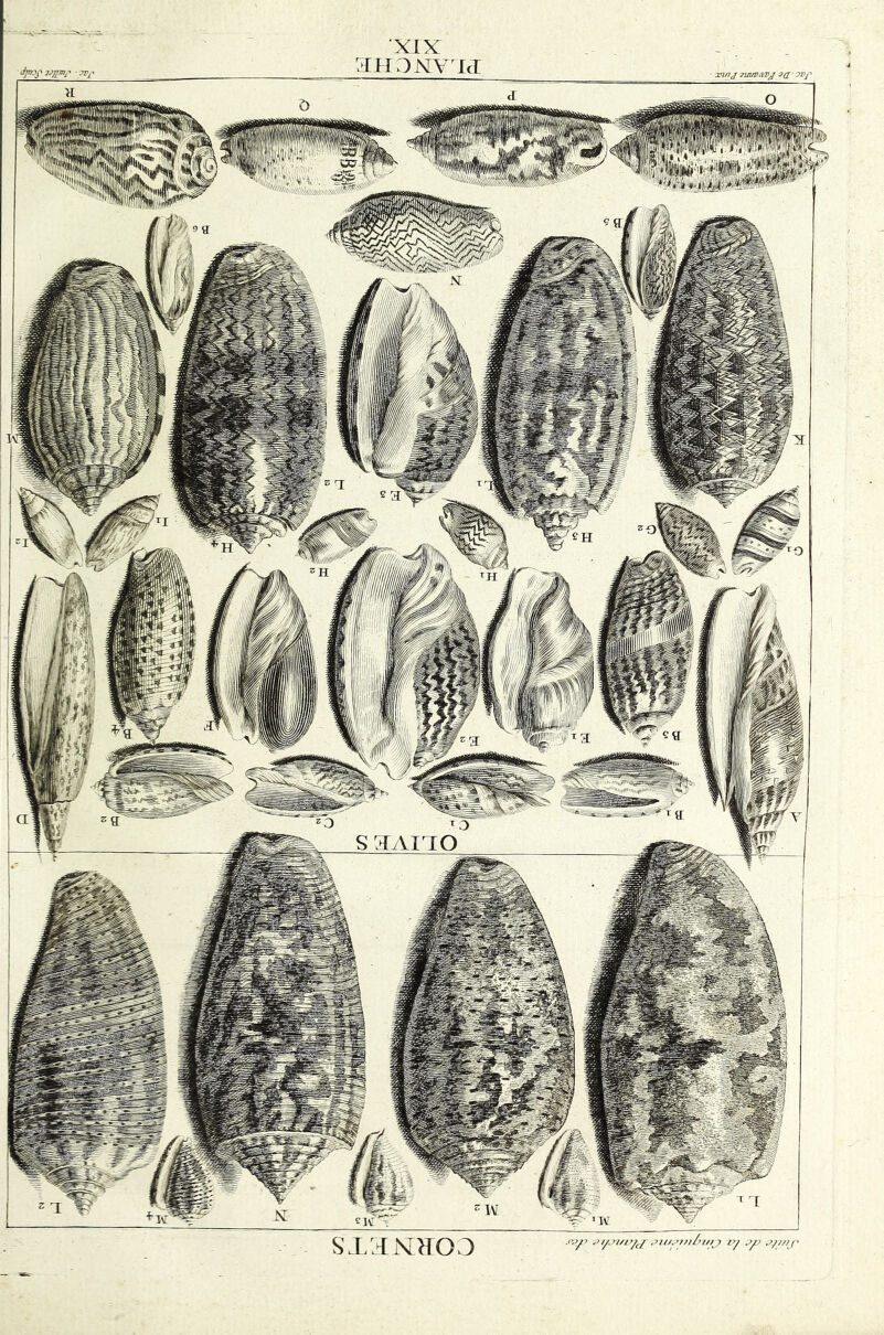 sxamroo ■r’.y> pi/.>!//yc/ /y ,y> aymp ttyof v/ims jrr XIX roi ;)xvrjd • xin j Tvuvavji 9 g ivp