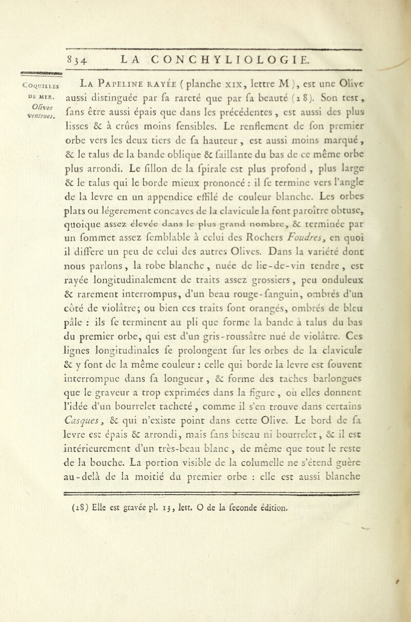 mu i mi ii immmwwmbb Coquilles La Papeline rayee ( planche xix, lettre M ), est une Olive mer. aussi distinguée par Ta rareté que par fa beauté (iS). Son test, ventrues. ^ans ^tre aussi épais que dans les précédentes , est aussi des plus lisses &c à criies moins fensibles. Le renflement cie fon premier orbe vers les deux tiers de fa hauteur , est aussi moins marqué , & le talus de la bande oblique èc faillantc du bas de ce même orbe plus arrondi. Le fillon de la fpirale est plus profond , plus large & le talus qui le borde mieux prononcé : il fe termine vers l’angle de la levre en un appendice effilé de couleur blanche. Les orbes plats ou légèrement concaves de la clavicule la font paroitre obtuse, quoique assez élevée dans le plus grand nombre, terminée par un fommet assez fcmblable à celui des Rochers Foudres, en quoi il diffère un peu de celui des autres Olives. Dans la variété dont nous parlons, la robe blanche, nuée de lie-de-vin tendre, est rayée longitudinalement de traits assez grossiers , peu onduleux &c rarement interrompus, d’un beau rouge-fanguin, ombrés d’un côté de violâtre; ou bien ces traits font orangés, ombrés de bleu pale : ils fe terminent au pli que forme la bande à talus du bas du premier orbe, qui est d’un gris-roussatre nué de violâtre. Ces lignes longitudinales fe prolongent fur les orbes de la clavicule &£ y font de la même couleur : celle qui borde la levre est fouvent interrompue dans fa longueur , &z forme des taches barlongues que le graveur a trop exprimées dans la figure , ou elles donnent l’idée d’un bourrelet tacheté , comme il s’en trouve dans certains Casques, &C qui n’existe point dans cette Olive. Le bord de fa levre est épais & arrondi, mais fans biseau ni bourrelet, «Se il est intérieurement d’un très-beau blanc , de même que tout le reste de la bouche. La portion visible de la columelie ne s’étend guère au-delà de la moitié du premier orbe : elle est aussi blanche t (2S) Elle est gravée pl. 13, lett. O de la fécondé édition.