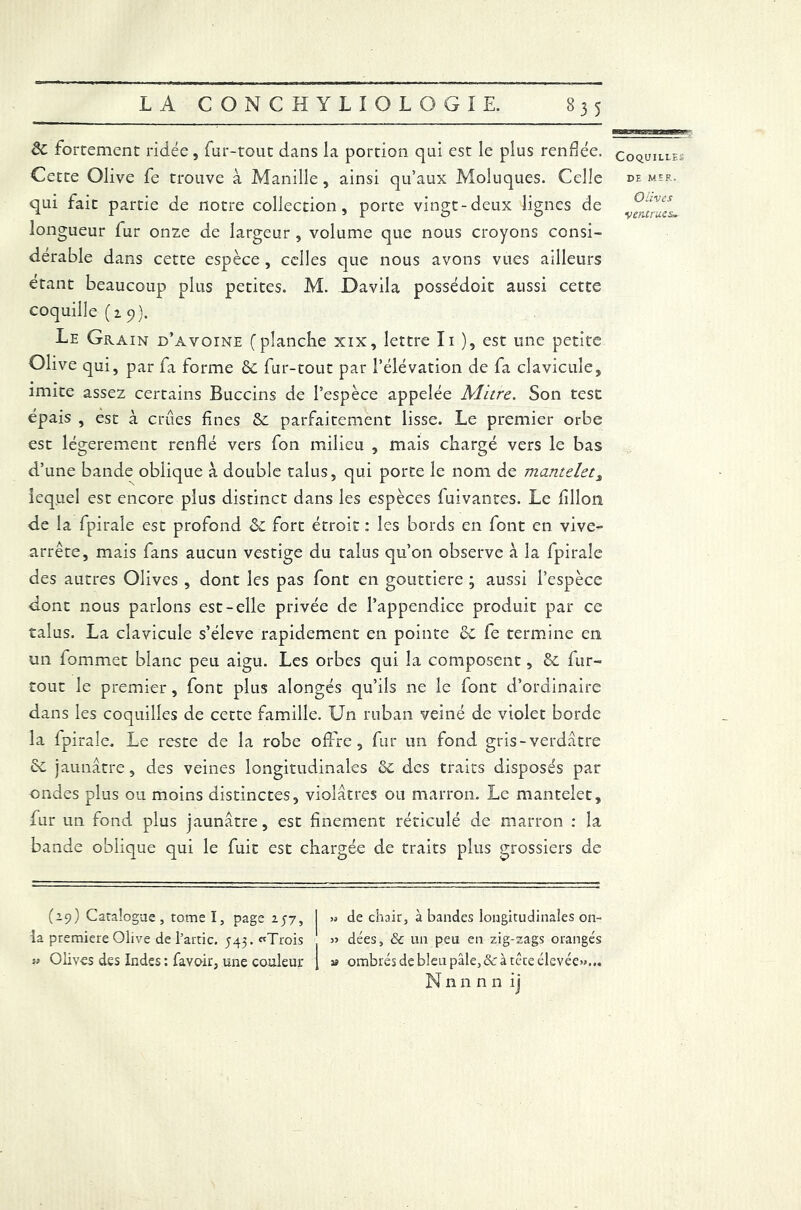 de fortement ridée, fur-tout dans la portion qui est le plus renflée. Cette Olive fe trouve à Manille , ainsi qu’aux Moluques. Celle qui fait partie de notre collection, porte vingt-deux lignes de longueur fur onze de largeur , volume que nous croyons consi- dérable dans cette espèce , celles que nous avons vues ailleurs étant beaucoup plus petites. M. Davila possédoit aussi cette coquille (1 9). Le Grain d’avoine (planche xix, lettre Ii ), est une petite Olive qui, par fa forme & fur-tout par l’élévation de fa clavicule, imite assez certains Buccins de l’espèce appelée Mitre. Son test épais , est à crues fines &: parfaitement lisse. Le premier orbe est légèrement renflé vers fon milieu , mais chargé vers le bas d’une bande oblique à double talus, qui porte le nom de manteleti lequel est encore plus distinct dans les espèces fuivantes. Le fillon de la fpirale est profond & fort étroit : les bords en font en vive- arrête, mais fans aucun vestige du talus qu’on observe à la fpirale des autres Olives , dont les pas font en gouttière ; aussi l’espèce dont nous parlons est-elle privée de l’appendice produit par ce talus. La clavicule s’élève rapidement en pointe ôc fe termine en. un lommet blanc peu aigu. Les orbes qui la composent, &. fur- tout le premier, font plus alongés qu’ils ne le font d’ordinaire dans les coquilles de cette famille. Un ruban veiné de violet borde la fpirale. Le reste de la robe offre, fur un fond gris-verdâtre & jaunâtre, des veines longitudinales '6c des traits disposés par ondes plus ou moins distinctes, violâtres ou marron. Le mantelet, fur un fond plus jaunâtre, est finement réticulé de marron : la bande oblique qui le fuit est chargée de traits plus grossiers de Coquilles DE MER. Olives «ventrues» (19) Catalogue , tome I, page 257, I » de chair, à bandes longitudinales on- ia première Olive de l’artic. 543. «Trois » dées, & un peu en zig-zags orangés h Olives des Indes : favoir, une couleur \ » ombrés de bleu pâle, & à tête élevée»»... Nnnnn ij