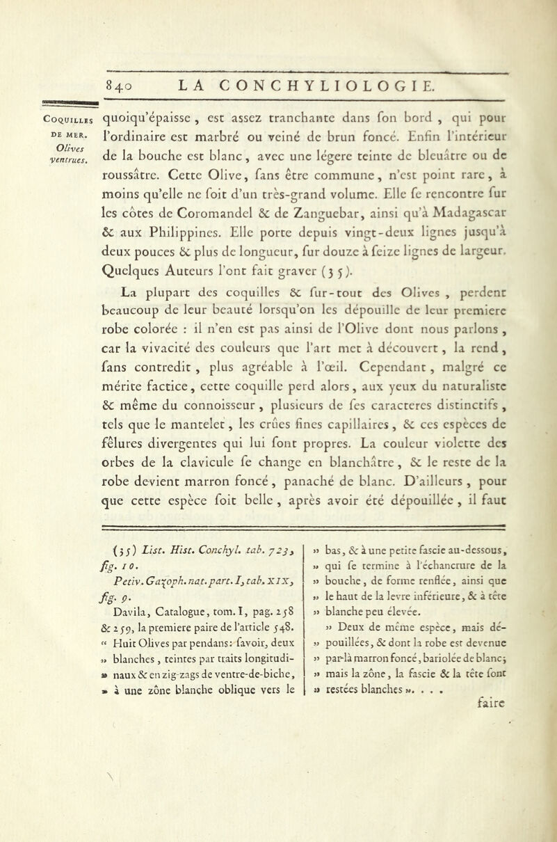 Coquilles quoiqu’épaisse , esc assez tranchante dans fon bord , qui pour de mer. l’ordinaire est marbré ou veiné de brun foncé. Enfin l’intérieur ventrues. de bouche est blanc, avec une légère teinte de bleuâtre ou de roussâtre. Cette Olive, fans être commune, n’est point rare, à moins qu’elle ne foit d’un très-grand volume. Elle fe rencontre fur les cotes de Coromandel 6c de Zanguebar, ainsi qu’à Madagascar 6c aux Philippines. Elle porte depuis vingt-deux lignes jusqu’à deux pouces 6c plus de longueur, fur douze à feize lignes de largeur Quelques Auteurs l’ont fait graver (35). La plupart des coquilles 6c fur-tout des Olives , perdent beaucoup de leur beauté lorsqu’on les dépouille de leur première robe colorée : il n’en est pas ainsi de l’Olive dont nous parlons , car la vivacité des couleurs que l’art met à découvert, la rend , fans contredit , plus agréable à l’œil. Cependant, malgré ce mérite factice, cette coquille perd alors, aux yeux du naturaliste 6c même du connoisseur , plusieurs de fes caractères distinctifs , tels que le mantelet, les crues fines capillaires , 6c ces espèces de fêlures divergentes qui lui font propres. La couleur violette des orbes de la clavicule fe change en blanchâtre , Sc le reste de la robe devient marron foncé, panaché de blanc. D’ailleurs , pour que cette espèce foit belle , après avoir été dépouillée , il faut (3j) List. Hist. Conchyl. tab. fig. 10. Petiv. Ga\oph. nat.part. Iy tab, XIXy fg- P- Davila, Catalogue, tom. I, pag. 258 & z59, la première paire de l’article 548. “ Huit Olives par pendans: favoir, deux blanches , teintes par traits longitudi- » naux & en zig zags de ventre-de-biche, » à une zone blanche oblique vers le c » bas, & aune petite fascie au-dessous, » qui fe termine à l’échancrure de la jj bouche, de forme renflée, ainsi que j» le haut de la levre inférieure, & à tête jj blanche peu élevée. jj Deux de même espèce, mais dé- jj pouillées, & dont la robe est devenue j> par-là marron foncé, bariolée de blanc3 j> mais la zone, la fascie 8c la tête font u restées blanches . . . faire \