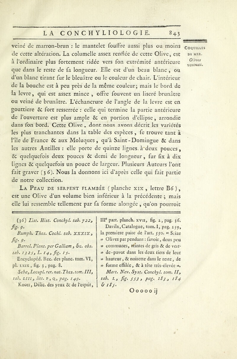 veiné de marron-brun : le mantelet foudre aussi plus ou moins de cette altération. La columelle assez renflée de cette Oüves est à l’ordinaire plus fortement ridée vers fon extrémité antérieure que dans le reste de fa longueur. Elle est d’un beau blanc , ou d’un blanc tirant fur le bleuâtre ou le couleur de chair. L’intérieur de la bouche est à peu près de la même couleur; mais le bord de la levre, qui est assez mince , offre fouvent un liseré brunâtre ou veiné de brunâtre. L’échancrure de l’angle de la levre est en gouttière 6c fort resserrée : celle qui termine la partie antérieure de T ouverture est plus ample 6c en portion d’ellipse, arrondie dans fon bord. Cette Olive , dont nous avons décrit les variétés les plus tranchantes dans la table des espèces , fe trouve tant à l’île de France 6c aux Moluques , qu’à Saint-Domingue 6c dans les autres Antilles : elle porte de quinze lignes à deux pouces, 6c quelquefois deux pouces 6c demi de longueur, fur fîx à dix lignes 6c quelquefois un pouce de largeur. Plusieurs Auteurs l’ont fait graver (3 6). Nous la donnons ici d’après celle qui fait partie de notre collection. La Peau de serpent flambée ( planche xix , lettre ), est une Olive d’un volume bien inférieur à la précédente ; mais elle lui ressemble tellement par fa forme alongée , qu’on pourroic Coquilles DE MER. Olives yentmxs. (36) List. Hist. Conchyl. tab. y223 J fig- 9- Rumph. Thés. Cochl. tab. XXXIX y fig- 9• Barrel. Riant, per Galliam y &c. obs. tab. 132s3 L. I4y fig. ij. Encyclopéd. Rec. des plane, tom. VI, pl. x-xix, fig. 3 , pag. 8. Seba} Locupl. rer. nat. Thés. tom. II13 tab. Lilly lltt. P j Q., pag. 14p. Knorr, Délie, des yeux 8c de l’esprit. IIIe part, planch. xvii, fig. 2, pag. 36. Davila, Catalogue, tom. I, pag. 2/9, la première paire de l’art, yjo. « Seize » Olives par pendans : favoir, deux peu 5* communes, ceintes de gris 8c de vert- » de-pavot dans les deux tiers de leur » hauteur, & noisette dans le reste, de » forme effilée, 8c à tête très-élevée >». Mart. Nev. Syst. Conchyl. tom. IIy tab. Ly fig. psg y pag. 1S3 y 184 & iSf. O o o o o i j