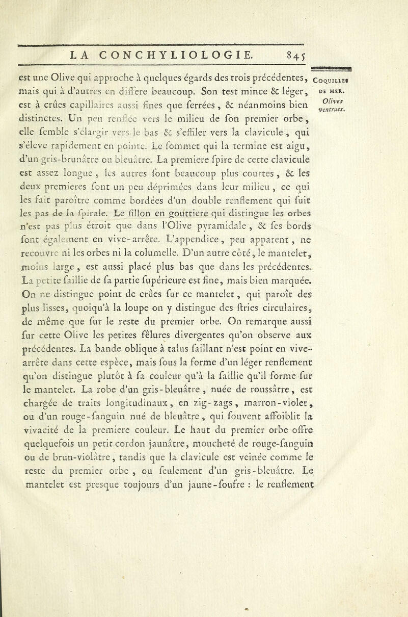 esc une Olive qui approche à quelques égards des trois précédentes, coquille-* niais qui à d’autres en différé beaucoup. Son test mince êc léger, de mer. est à crues capillaires aussi fines que ferrées , &£ néanmoins bien distinctes. Un peu renflée vers le milieu de fon premier orbe, elle femble s’élargir vers le bas &C s’effiler vers la clavicule, qui s’élève rapidement en pointe. Le fommet qui la termine est aigu, d’un gris-brunâtre ou bleuâtre. La première fpire de cette clavicule est assez longue , les autres font beaucoup plus courtes , ôc les deux premières font un peu déprimées dans leur milieu , ce qui les fait paroitre comme bordées d’un double renflement qui fuie les pas de la fpirale. Le fillon en gouttière qui distingue les orbes n’est pas plus étroit que dans l’Olive pyramidale , &C fes bords font également en vive-arrête. L’appendice, peu apparent, ne recouvre ni les orbes ni la columelle. D’un autre coté, le mantelet, moins arge , est aussi placé plus bas que dans les précédentes» La et ce faillie de fa partie fupérieure est fine, mais bien marquée. On ne distingue point de crues fur ce mantelet, qui paroît des plus lisses, quoiqu’à la loupe on y distingue des fines circulaires, de même que fur le reste du premier orbe. On remarque aussi fur cette Olive les petites fêlures divergentes qu’on observe aux précédentes. La bande oblique à talus faillant n’est point en vive- arrête dans cette espèce, mais fous la forme d’un léger renflement qu’on distingue plutôt à fa couleur qu’à la faillie qu’il forme fur le mantelet. La robe d’un gris-bleuâtre , nuée de roussâtre, est chargée de traits longitudinaux, en zig-zags, marron-violet, ou d’un rouge-fanguin nué de bleuâtre, qui fquvent affoiblit la vivacité de la première couleur. Le haut du premier orbe offre quelquefois un petit cordon jaunâtre, moucheté de rouge-fanguin ou de brun-yiolâtre, tandis que la clavicule est veinée comme le reste du premier orbe , ou feulement d’un gris-bleuâtre. Le mantelet est presque toujours d’un jaune-foufre : le renflement