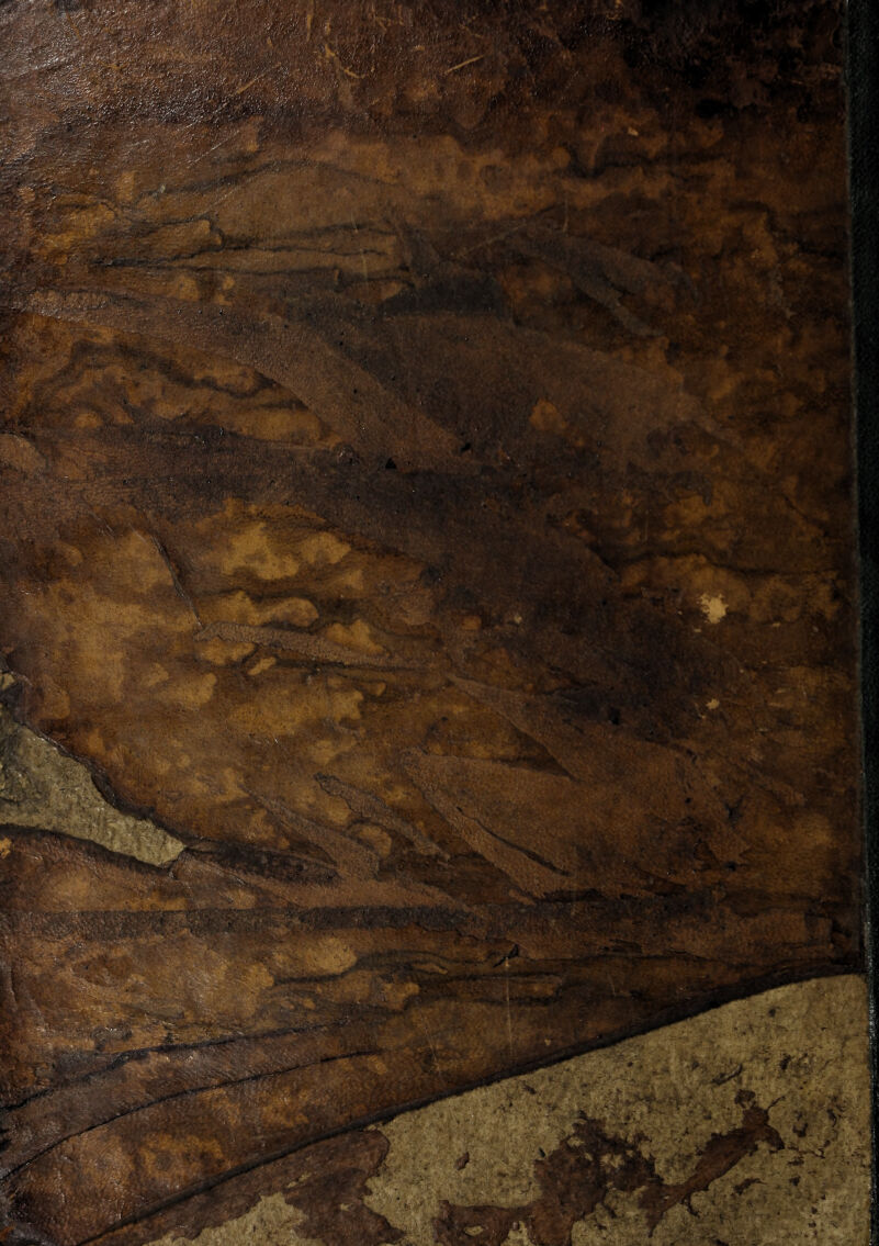 No text description is available for this image