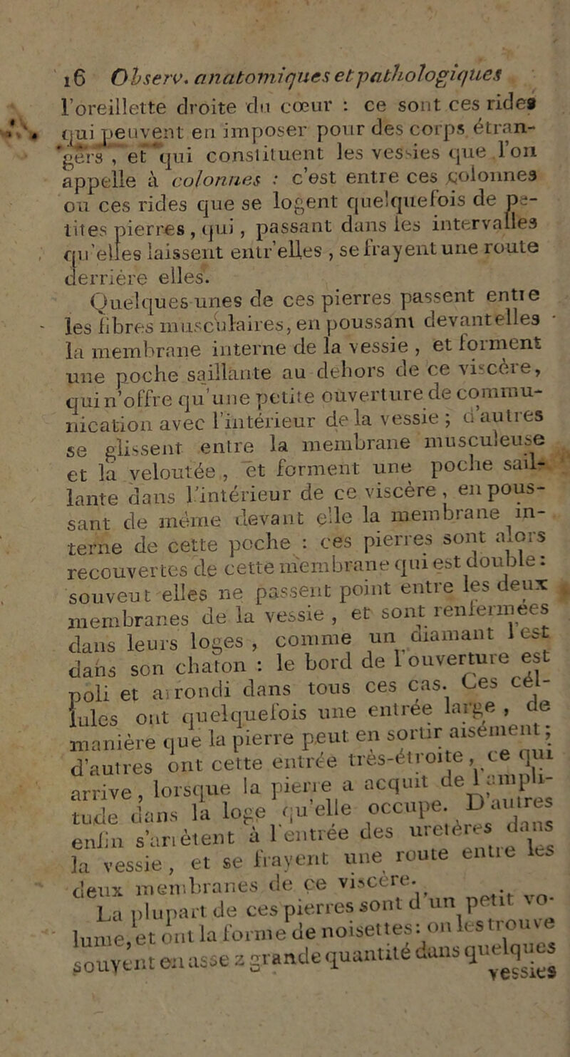 •' • l’oreillette droite du cœur : ce sont ces ride® qui peuvent en imposer pour des corps, étran- gersT et *qui consiituent les vessies que l’on appelle à colonnes : c’est entre ces coionne3 ou ces rides que se logent quelquefois de pe- tites pierres , qui, passant dans les intervalles qu’elles laissent entr’elles , se frayent une route derrière elles. Quelques unes de ces pierres passent entie les libres musculaires, en poussant devant elles la membrane interne de la vessie , et forment une poche saillante au dehors de ce vhceie, qui n’offre qu’une petite ouverture de commu- nication avec l’intérieur de la vessie ; ci autres se glissent entre la membrane musculeuse et la veloutée , et forment une poche sail- lante dans l’intérieur de ce viscère , en pous- sant de même devant e’.le la membrane in- terne de cette poche : ces pierres sont amis recouvertes de cette membrane qui est double : souvent elles ne passent point entre les deux membranes de la vessie , et sont rentennees dans leurs loges, comme un diamant lest dans son chaton : le bord de 1 ouverture est poli et airondi dans tous ces cas. Ce* cé - Iules ont quelquefois une entree large , de manière que la pierre peut en sortir aisément d’autres ont cette entrée tres-étroite, te qui arrive , lorsque la pierre a acquit de 1 amp i- tude dans la loge quelle occupe. Dm rcs enfin s’anètent à 1 entree des uretèredans la vessie, et se frayent une route entic les deux membranes de ce viscère., La plupart de ces pierres sont d un p . 1 lmne et ont la forme de noisettes: on les trouve gouyent en asse z grande quantité dans