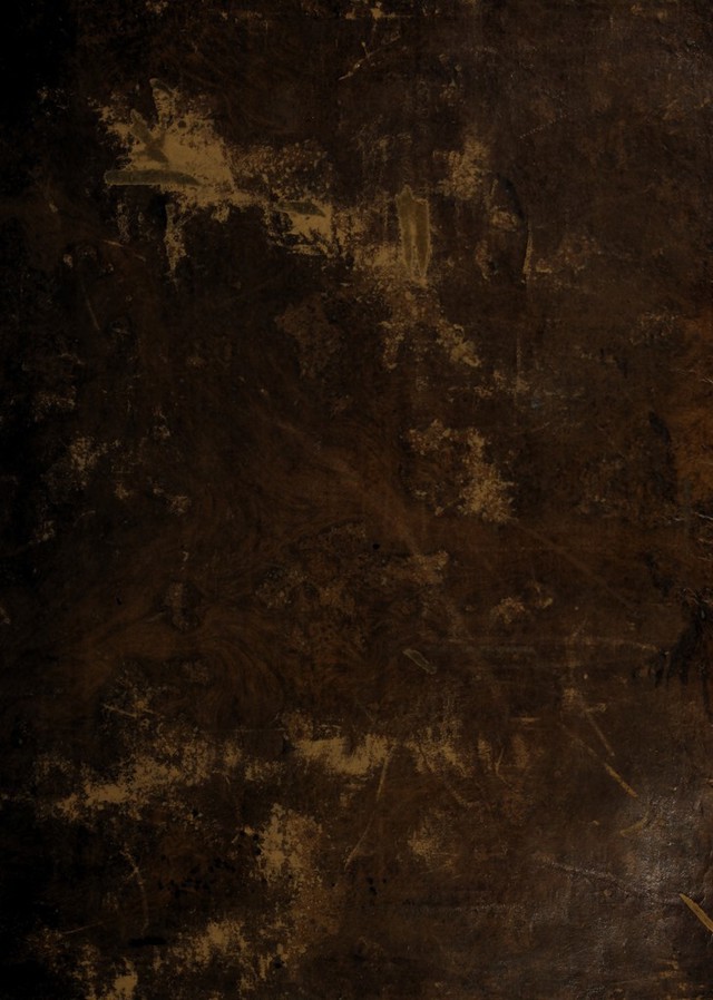 digitised image 1
