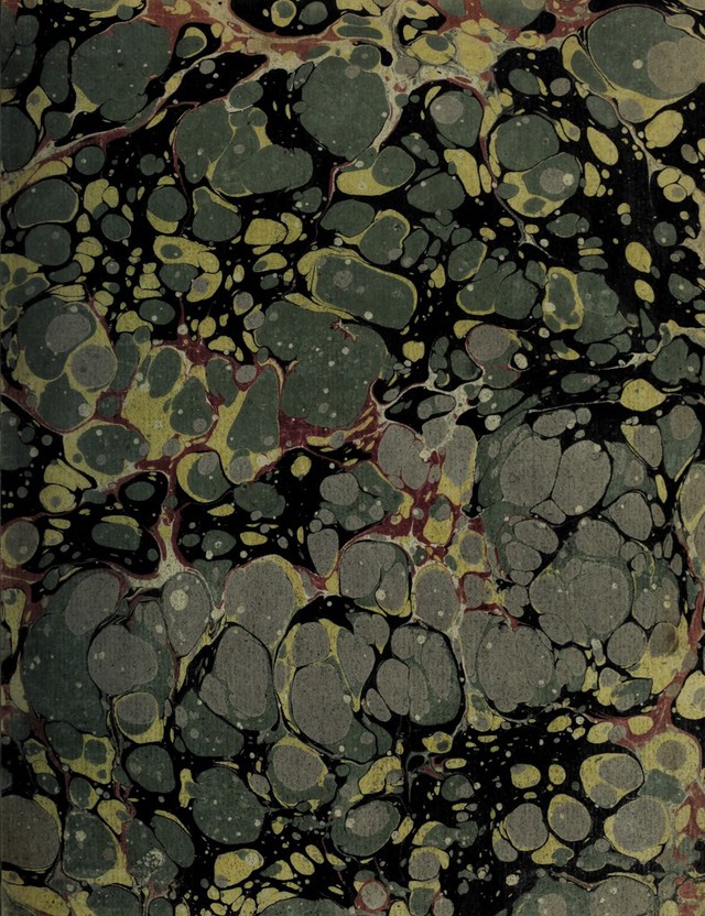 digitised image 3