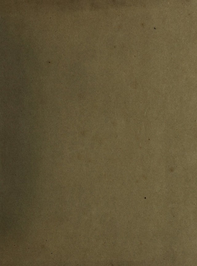 digitised image 3
