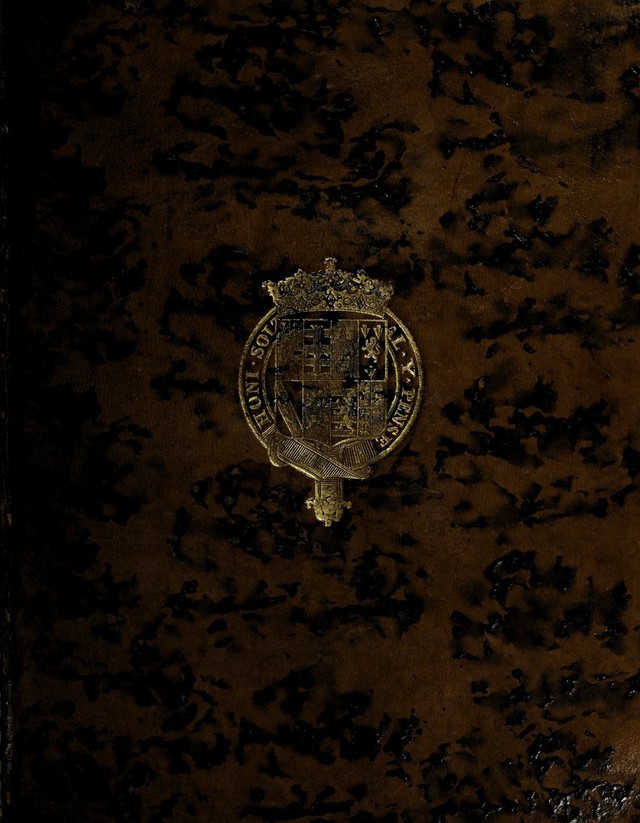 No text description is available for this image