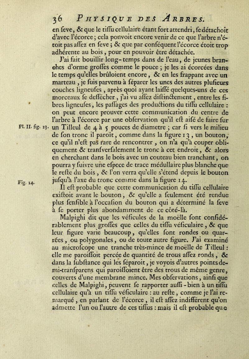 en feve, &que le tilTu cellulaire étant fort attendri, fedétachoit d’avec l’écorce ; cela ponvoit encore venir de ce que l’arbre n’é- toit pas allez en feve ; & que par conféquent l’écorce étoit trop adhérente au bois , pour en pouvoir être détachée. J’ai fait bouillir long- temps dans de l’eau, de jeunes bran- ches d’orme grolTes comme le pouce ; je les ai écorcées dans le temps qu’elles brûloient encore, & en les frappant avec un marteau , je fuis parvenu à féparer les unes des autres plufieurs couches ligneufes , après quoi ayant lailTé quelques-uns de ces morceaux fe delTécher , j’ai vu alTez diftindement, entre les fi- ‘ bres ligneufes, les palTages des produéHons du tilîu cellulaire : on peut encore prouver cette communication du centre de l’arbre a l’écorce par une obfervation qu’il eft aifé de faire fur PI. II. fîç. 15. un Tilleul de 4 à 5 pouces de diamètre ; car li vers le milieu de fon tronc il paroît, comme dans la figure 13 , un bouton, ce qu’il n’eft pas rare de rencontrer , on n’a qu’à couper obli- quement & tranfverfalement le tronc à cet endroit, & alors en cherchant dans le bois avec un couteau bien tranchant, on pourra y fuivre une efpece de trace médullaire plus blanche que le reffe du bois , ik l’on verra qu’elle s’étend depuis le bouton Fi». 14. jufqu’à l’axe du tronc comme dans la figure 14. Il efl: probable que cette communication du tiffu cellulaire exiffoit avant le bouton, & qu’elle a feulement été rendue plus fenfible à l’occafion du bouton qui a déterminé la feve à fe porter plus abondamment de ce côté-là. Malpighi dit que les véficules de la moëlle font confîdé- rablement plus grolTes que celles du tifTu véficulaire , & que leur figure varie beaucoup, qu’elles font rondes ou quar- rées , ou polygonales, ou de toute autre figure. J’ai examiné au microfeope une tranche très-mince de moëlle de Tilleul : elle me paroifToit percée de quantité de trous alîèz ronds , & dans la fubftance qui les féparoit, je voyois d’autres pointsde- mi-tranfparens qui paroilToient être des trous de même genre, couverts d’une membrane mince. Mes obfervations, ainfi que celles de Malpighi, peuvent fe rapporter aulli-bien à un tilTu cellulaire qu’à un tilTu véficulaire : au refte, comme je l’ai re- marqué , en parlant de l’écorce , il eft afîèz indifférent qu’on admette l’un ou l’autre de ces tifîus :mais il efl probable que