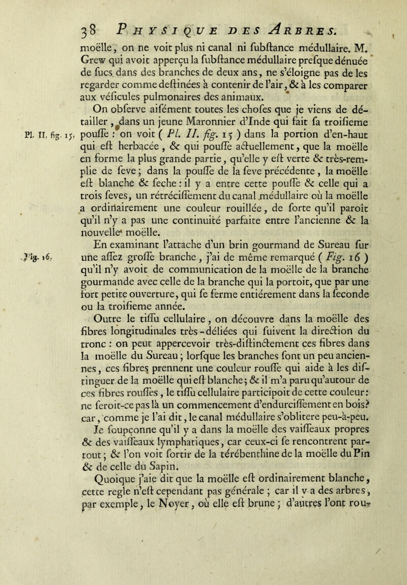 moëlle , on ne voit plus ni canal ni fubftance médullaire. M. Grew qui avoit apperçu la fubftance médullaire prefque dénuée ' de fucs dans des branches de deux ans, ne s’éloigne pas de les regarder comme deftinées à contenir de l’air, & à les comparer aux véficules pulmonaires des animaux. On obferve aifément toutes les chofes que je viens de dé- tailler j^dans un jeune Maronnier d’Inde qui fait fa troifîeme PI II, fig. 15, poufîe : on voit ( PL IL fig. 15 ) dans la portion d’en-haut qui eft herbacée , & qui pouftè aftuellement, que la moëlle en forme la plus grande partie, qu’elle y eft verte & très-rem- plie de feve ; dans la poufte de la feve précédente , la moëlle eft blanche & feche : il y a entre cette poufte & celle qui a trois feves, un rétréciftèment du canal médullaire où la moëlle I a ordinairement une couleur rouillée, de forte qu’il paroît qu’il n’y a pas une continuité parfaite entre l’ancienne & la nouvelle* moëlle. En examinant l’attache d’un brin gourmand de Sureau fur ?‘‘g. une allez grolTe branche , j’ai de même remarqué ( Fig, 16 ) qu’il n’y avoit de communication de la moëlle de la branche gourmande avec celle de la branche qui la portoit, que par une Fort petite ouverture, qui fe ferme entièrement dans la fécondé ou la troilieme année. Outre le tilTu cellulaire, on découvre dans la moëlle des fibres longitudinales très-déliées qui fuivent la direftion du tronc : on peut appercevoir très-diftinftement ces fibres dans la moëlle du Sureau ; lorfque les branches font un peu ancien- nes , ces fibres, prennent une couleur ronfle qui aide h les dif- tinguer de la moëlle quieft blanche; & il m’a paruqu’autour de ces fibres rouftès , le tiftù cellulaire participoit de cette couleur: ne feroit-ce pas là un commencement d’endurcifiTement en bois.^ car, comme je l’ai dit, le canal médullaire s’oblitère peu-à-peu. le foupçonne qu’il y a dans la moëlle des vaiftTeaux propres & des vaifteaux lymphatiques, car ceux-ci fe rencontrent par- tout ; Sc l’on voit fortir de la térébenthine de la moëlle du Pin Ôc de celle du Sapin. Quoique j’aie dit que la moëlle eft ordinairement blanche, cette réglé n’eft cependant pas générale ; car il y a des arbres, par exemple, le Noyer, où elle eft brune ; d’autres l’ont rou? /