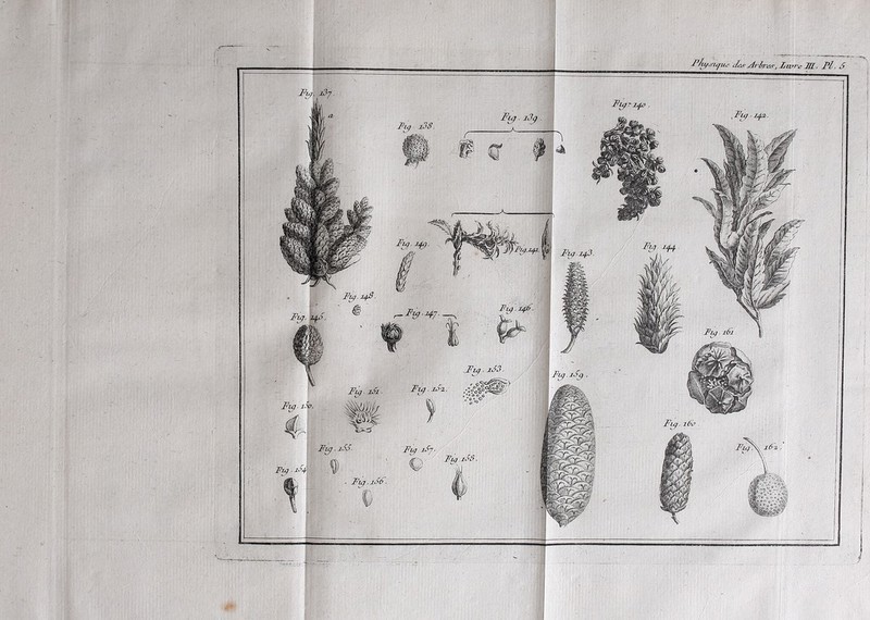 ileâ', Xmr'e 7ff. Pi. S