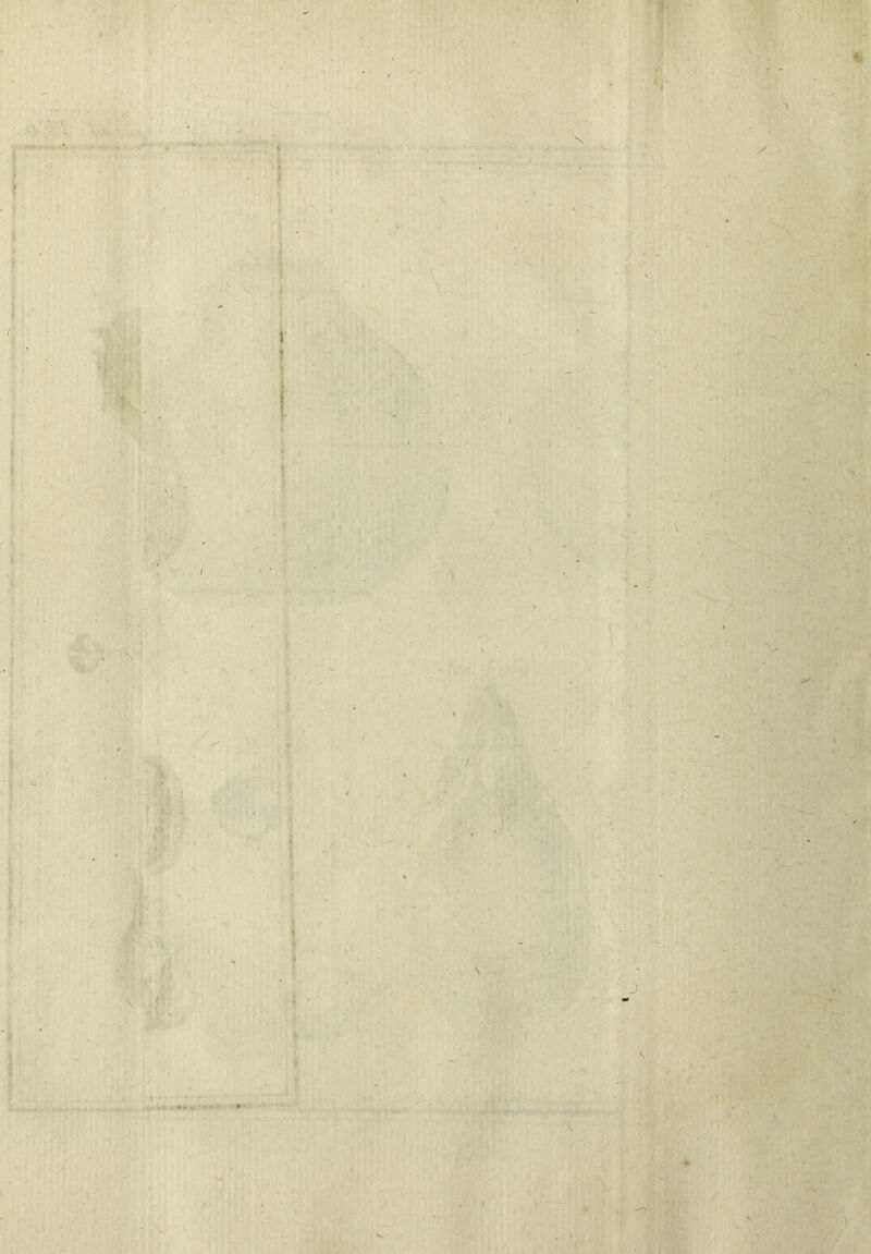 I N r j 5 I . JÇ? I [ •,i I ■* < ' if.