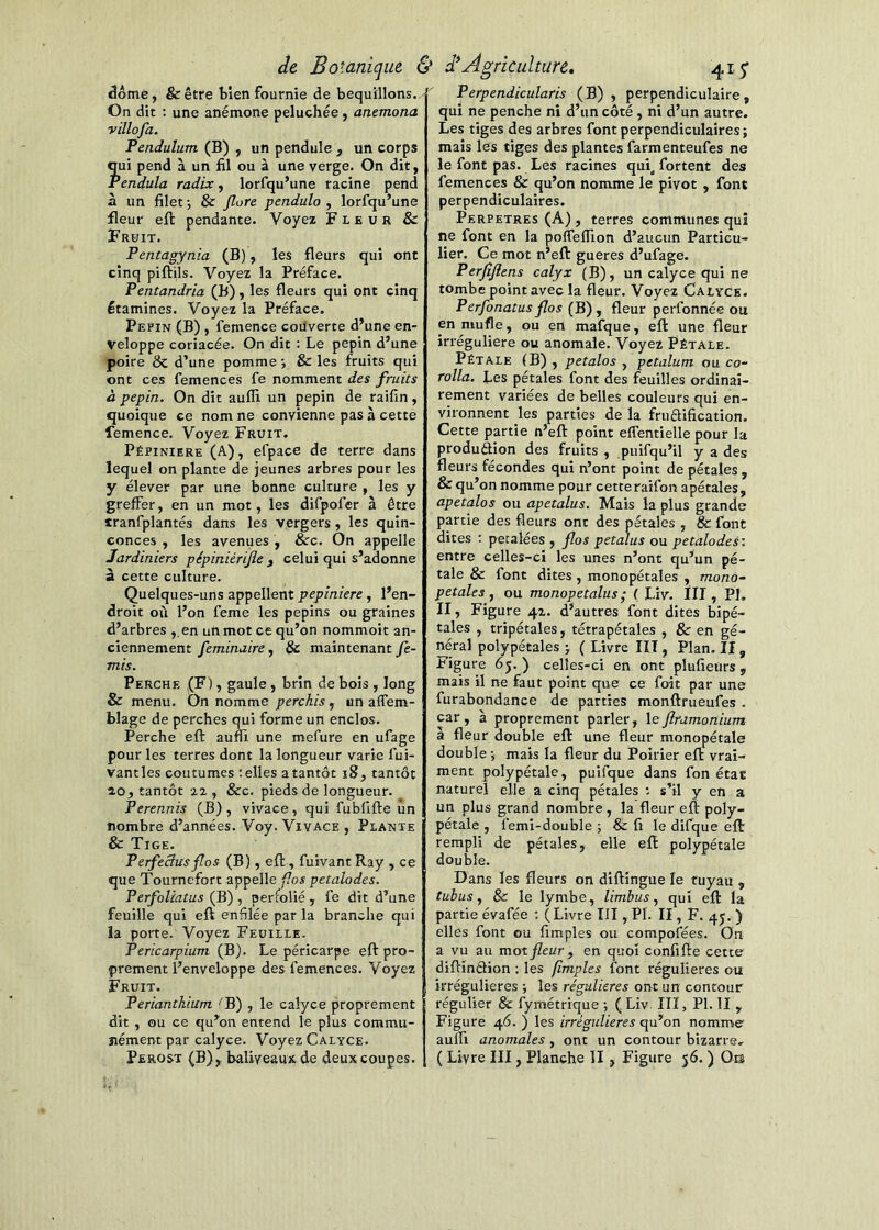 âôme, &être Hen fournie de bequillons. On dit ; une anémone peluchée, anemona villofa. Pendulum (B) , un pendule , un corps Îui pend à un fil ou à une verge. On dit, 'endula radix, lorsqu’une racine pend à un filet -, & Jlore pendulo , lorfqu’une fleur efi: pendante. Voyez Fleur & Fruit. Pentagynia (B), les fleurs qui ont cinq piftils. Voyez la Préface. Pentandria (B), les fleurs qui ont cinq étamines. Voyez la Préface. Pépin (B) , femence coilverte d’une en- veloppe coriacée. On dit : Le pépin d’une poire ÔC d’une pomme & les fruits qui ont ces femences fe nomment des fruits à pépin. On dit aufli un pépin de raifin, quoique ce nom ne convienne pas à cette femence. Voyez Fruit. Pépinière (A), efpace de terre dans lequel on plante de jeunes arbres pour les y élever par une bonne culture , les y greffer, en un mot, les difpofer à être tranfplantés dans les vergers , les quin- conces , les avenues , &c. On appelle Jardiniers pépiniérijle y celui qui s’adonne à cette culture. Quelques-uns appellent pepiniere, l’en- droit où l’on feme les pépins ou graines d’arbres , en un mot ce qu’on nommoit an- ciennement feminaire y & maintenant fe- mis. Perche ,(F) , gaule, brin de bois , long & menu. On nomme perchis , un alfem- blage de perches qui forme un enclos. Perche eft aufll une mefure en ufage pour les terres dont la longueur varie fui- vantles coutumes telles a tantôt i8, tantôt io, tantôt iz, &c. pieds de longueur. Perennis (B), vivace, qui fubfifte un nombre d’années. Voy. Vivage , Plante & Tige. Perfeâus fos (B), efl, fuivant Ray , ce que Tourncfort appelle fos petalodes. Perfoliatus (B) , perfolié , fe dit d’une feuille qui eft enfilée par la branche qui la porte. Voyez Feuille. Pericarpium (B). Le péricarpe eft pro- prement l’enveloppe des femences. Voyez Fruit. Perianthium ''B) , le caîyce proprement dit , ou ce qu’on entend le plus commu- nément par calyce. Voyez Calyce. Perost (B), baliveaux de deux coupes. Perpendicularis (B) , perpendiculaire, qui ne penche ni d’un côté , ni d’un autre. Les tiges des arbres font perpendiculaires; mais les tiges des plantes farmenteufes ne le font pas. Les racines quî^ fortent des femences & qu’on nomme le pivot , font perpendiculaires. PERPETRES (A) , terres communes qui ne font en la pofieffion d’aucun Particu- lier. Ce mot n’eft gueres d’ufage. Perfijîens calyx (B), un calyce qui ne tombe point avec la fleur. Voyez Calyce. Perfonatusflos (B), fleur perfonnée ou en mufle, ou en mafque, eft une fleur irrégulière ou anomale. Voyez Pétale. Pétale (B) , petalos , petalum ou co- rolla. Les pétales font des feuilles ordinai- rement variées de belles couleurs qui en- vironnent les parties de la friiéUfication. Cette partie n’eft point effentielle pour la produâion des fruits , puifqu’il y a des fleurs fécondes qui n’ont point de pétales , & qu’on nomme pour cetteraifon apétales, apetalos ou apetalus. Mais la plus grande partie des fleurs ont des pétales , & font dites ; petalées , flos petalus ou petalodes: entre celles-ci les unes n’ont qu’un pé- tale & font dites , monopétales , mono- p étalé s y ou monopetalus ■ ( Liv. III, PI. II, Figure 41. d’autres font dites bipé- tales , tripétales, tétrapétales , & en gé- néral polypétales ; ( Livre III, Plan. II, Figure 65. ) celles-ci en ont plufieiirs , mais il ne faut point que ce foit par une furabondance de parties monftrueufes . car , à proprement parler, le ftramonium à fleur double eft une fleur monopétale double V mais la fleur du Poirier eft vrai- ment polypétale, puifque dans fon état naturel elle a cinq pétales *- s’il y en a un plus grand nombre, la fleur eft poly- pétale y femi-double ; & fi le difque eft rempli de pétales, elle eft polypétale double. Dans les fleurs on diftingue le tuyau , tubus y & le lymbe, limbus y qui eft la partie évafée ; (Livre III, PI. II, F. 4J. ) elles font ou fimples ou composées. On a vu au mot fleur y en quoi confifte cette diftindion ; les [impies font régulières ou irrégulières ; les régulières ont un contour régulier & fymétrique ; ( Liv III, PI. Il , Figure 4Ô. ) les irrégulières qu’on nomme aulïi anomales, ont un contour bizarre. ( Livre III, Planche II, Figure 56. ) Ors