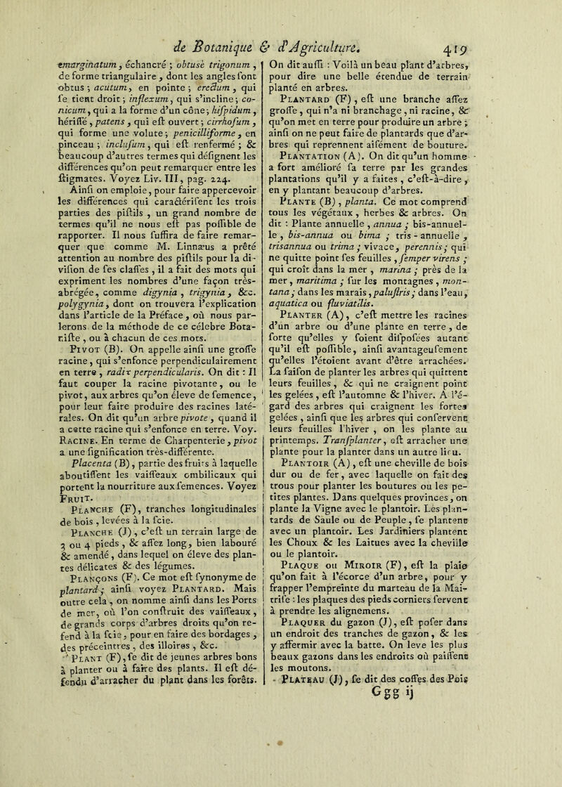 ^marginatum ^ échancré ; obtuse trigonum , de forme triangulaire , dont les angles font obtus -, acutum, en pointe ; ereSum , qui fe tient droit -, inflexum, qui s’incline ; co- nicuOT, qui a la forme d’un cône; kifpidum, hériffe , patens ^ qui ell: ouvert ; cirrhofum , qui forme une volute; penicilliforme, en pinceau ; inclnfum, qui eft renfermé ; & beaucoup d’autres termes qui défignent les différences qu’on peut remarquer entre les fligmates. Voyez Liv. TII, pag. 224. Ainfi on emploie, pour faire appercevoir les différences qui caraélérifent les trois parties des piftils , un grand nombre de termes qu’il ne nous eft pas poffible de rapporter. Il nous fuffira de faire remar- quer que comme M. Linnæus a prêté attention au nombre des piflils pour la di- vifion de fes claffes , il a fait des mots qui expriment les nombres d’une façon très- abrégée, comme digynia ^ trigynia y &c. polygynia, dont on trouvera l’explication dans l’article de la Préface , où nous par- lerons de la méthode de ce célébré Bota- r.ifte , ou à chacun de ces mots. Pivot (B). On appelle ainfi une greffe racine, qui s’enfonce perpendiculairement en terre , radix perpendicularis. On dit : Il faut couper la racine pivotante, ou le pivot, aux arbres qu’on éleve defemence, pour leur faire produire des racines laté- rales. On dit qu’un arbrepfvore , quand il a cette racine qui s’enfonce en terre. Voy. Racine. En terme de Charpenterie,pivof a, une fignification très-différente. placenta (B), partie des fruits à laquelle aboutiffent les vaiffeaux ombilicaux qui portent la nourriture auxfemences. Voyez Fruit. Planche (F), tranches longitudinales de bois , levées à la feie. Planche (J), c’efl: un terrain large de ou 4 pieds , & affez long, bien labouré & amendé , dans lequel on éleve des plan- tes délicates & des légumes. PlaNçons (F). Ce mot eft fynonyme de pîantard'ÿ ainfi voyez Plantard. Mais outre cela , on nomme ainfi dans les Ports de mer, où l’on conftruit des vaiffeaux, de grands corps d’arbres droits qu’on re- fend à la ftiij, pour en faire des bordages , des préceintres , des illoires , &c. Plant (F),fe dit de jeunes arbres bons à planter ou à faire des plants. Il eft dé- fendu d’arracher du plant dans les forêts. On dit auffi : Voilà un beau plant d’arbres, pour dire une belle étendue de terrain planté en arbres. Plantard (F), eft une branche affez greffe, qui n’a ni branchage , ni racine, &r qu’on met en terre pour produire un arbre ; ainfi on ne peut faire de plantards que d’ar- bres qui reprennent aifément de bouture. Plantation (Aj. On dit qu’un homme - a fort amélioré fa terre par les grandes plantations qu’il y a faites , c’eft-à-dire , en y plantant beaucoup d’arbres. Plante (B), planta. Ce mot comprend tous les végétaux, herbes & arbres. On dit ; Plante annuelle , annua ,■ bis-annuel- le , bis-annua ou hima • tris - annuelle , trisannua ou trima ; vivace, perennis • qui ne quitte point fes feuilles ^ femper virens ; qui croît dans la mer , marina ■ près de la mer, maritima ; fur les montagnes , mon- tana- dans les mzrsâs,palujîris; dans l’eau, aquatica ou fluviatilis. Planter (A), c’eft mettre les racines d’un arbre ou d’une plante en terre, de forte qu’elles y foient difpofées autant qu’il eft poffible, ainfi avantageufemenc Îu’elles l’étoient avant d’être arrachées. ,z faifon de planter les arbres qui quittent leurs feuilles , 8c qui ne craignent point les gelées , eft l’automne & l’hiver. A l’é- gard des arbres qui craignent les fortes gelées , ainfi que les arbres qui confervenc leurs feuilles Thiver , on les plante au printemps. Tmnfplanter, eft arracher une plante pour la planter dans un autre lieu. Plantoir (A), eft une cheville de bois dur ou de fer, avec laquelle on fait des trous pour planter les boutures ou les pe- tites plantes. Dans quelques provinces, on plante la Vigne avec le plantoir. Les plan- tards de Saule ou de Peuple , fe plantent avec un plantoir. Les Jardiniers plantent les Choux & les Laitues avec la cheville ou le plantoir. Plaque ou Miroir (F), eft la plaie qu’on fait à l’écorce d’un arbre, pour y frapper l’empreinte du marteau de la Mai- trife : les plaques des pieds corniers fervent à prendre les alignemens. Plaquer du gazon (J), eft pofer dans un endroit des tranches de gazon, & les y affermir avec la batte. On leve les plus beaux gazons dans les endroits où paiffenc les moutons. - Plateau (J), fe dit des coffes des Pois