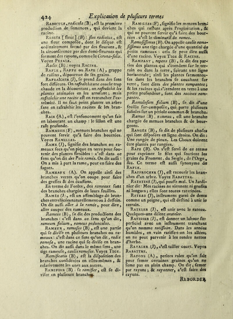 '^K'oxcxs'LV..^radicula. (B), eft la première produfiion de femences , qui devient la racine. Radiée [ fleur] (B) : plos radiatus , eft une fleur compofée, dont le difque eft ordinairement formé par des fleurons , & la circonférence par des demi-fleurons qui forment des rayons, comme le Corona-folis. Voyez Pétale. Radix (B) ; voyez Racine. Rafle , Raffe ou Râpe (A), grappe de raifins , dépourvue de Tes grains. Rafraîchir (J), fe prend dans des fens fort différens. On rafraîchitune couche trop chaude en la découvrant -, on rafraîchit Us plantes atténuées en les arrofant -, mais rafraîchir une racine eft en retrancher l’ex- trêmité. 11 ne faut point planter un arbre fans en rafraîchir les racines & les bran- ches. Raie (.A) , eft l’enfoncement qu’on fait en labourant un champ : le fillon eft une raîfe profonde. Ramassis (F), menues branches qui ne peuvent fervir qu’à faire des bourrées. Voyez Ramilles. Rame (J), fignifiie des branches ou ra- meaux fecs qu’on pique en terre pour fou- tenir des plantes flexibles ; c’eft dans ce fens qu’on dit des Pois rames. On dit aufli : On a mis à part la rame, peur en faire des fagots. Rameaux TA). On appelle ainfi des branches vertes qu’on coupe pour faire des greffes & des écuffons. En terme de Forêts , des rameaux font des branches chargées de leurs feuilles. Ramée (J), eft un aflemblage de bran- ches entrelâcées naturellement ou à deffein. On dit aufli aller à la ramée, pour dire, aller couper des rameaux. Rameus (B), fe dit des produftions des branches : c’eft dans ce fens qu’on dit, rameum folium , rameus peduncîdus, Rameux , ramofus (B) , eft une partie qui fe divife en plufieurs branches ou ra- meaux: c’eft dans ce fens qu’on dit, radix ramofa , une racine qui fe divife en bran- ches. On dit auflr dans le même fens , une tige rameufe, caulis ramofus. Y oyez Tige. Ramificatio (B) , eft la difpofition des branches confidérées en elles-mêmes , & relativement les unes aux autres. Ramifier (B) . fe ramifierj eft fe di- vifer en plufieurs branche#. Ramilles (F), lignifie les menues bran- ches qui reftent après l’exploitation , & qui ne peuvent fervir qu’à faire des bour- rées . c’eft le diminutif de rames. Rximofijfimus (B). On appelle caulis ramo- fijfimus une tige chargée d’une quantité de petits rameaux : cela fe peut dire aufli d’une racine. Voyez Tige & Racine. Rampant , repens (B) , fe dit des par- ties des plantes qui s’étendent fur le ter- rain ou dans la terre , fuivant une ligne horizontale ; ainfi les plantes farmenteu- fes dont les branches fe couchent fur terre , font dites des plantes rampantes ; & les racines qui s’étendent en terre à une petite profondeur, font des racines ram- pantes. Ramulofim folium (B), fe dit d’une féuille fur-compofée, qui porte plufieurs folioles fur un pétiole commun & branchu. Ramus (B) , rameau , eft une branche chargée de menues branches 8c de bour- geons. Rangée (B), fe dit de plufieurs chofes qui font difpofées ert ligne droite. On dit : Une rangée de pieux. Les Choux doivent être plantés par rangées. Râpe (B). On s’eft fervi de ce terme pour exprimer le filet qui foutienc les grains du Froment, du Seigle, de l’Orge , &c. Ce terme eft aulfi fynonyme de Rafle. Rapprocher (J), eft racourir les bran- ches d’un arbre. Voyez Rabattre. Ratatiné (J), qui pouffe mal. Un Jardi- nier dit: Mes racines ne viennent ni greffes ni longues 5 elles font toutes ratatinées. Rateau (J), inftrument garni de dents comme un peigne, qui eft deftiné à unir le terrain. Râteler (J), eft: unir avec le rateau. Quelques-uns difent arateler. Ratisser (J), eft donner un labour fu- perficiel avec un inftrument tranchant qu’on nomme ratifioire. Dans les années humides , en vain ratiffe-t-on les alléesj on ne peut parvenir à les rendre nettes d’herbe. Ravaler J), c’eft tailler court. Voyea Rabattre. Rayons (A) , petites raies qu’on fait pour femer certaines graines qu’on ne feme pas en plein champ. On dit, femer par rayons 5 & rayonnert c’eft faire des rayons. RtBORpf:^