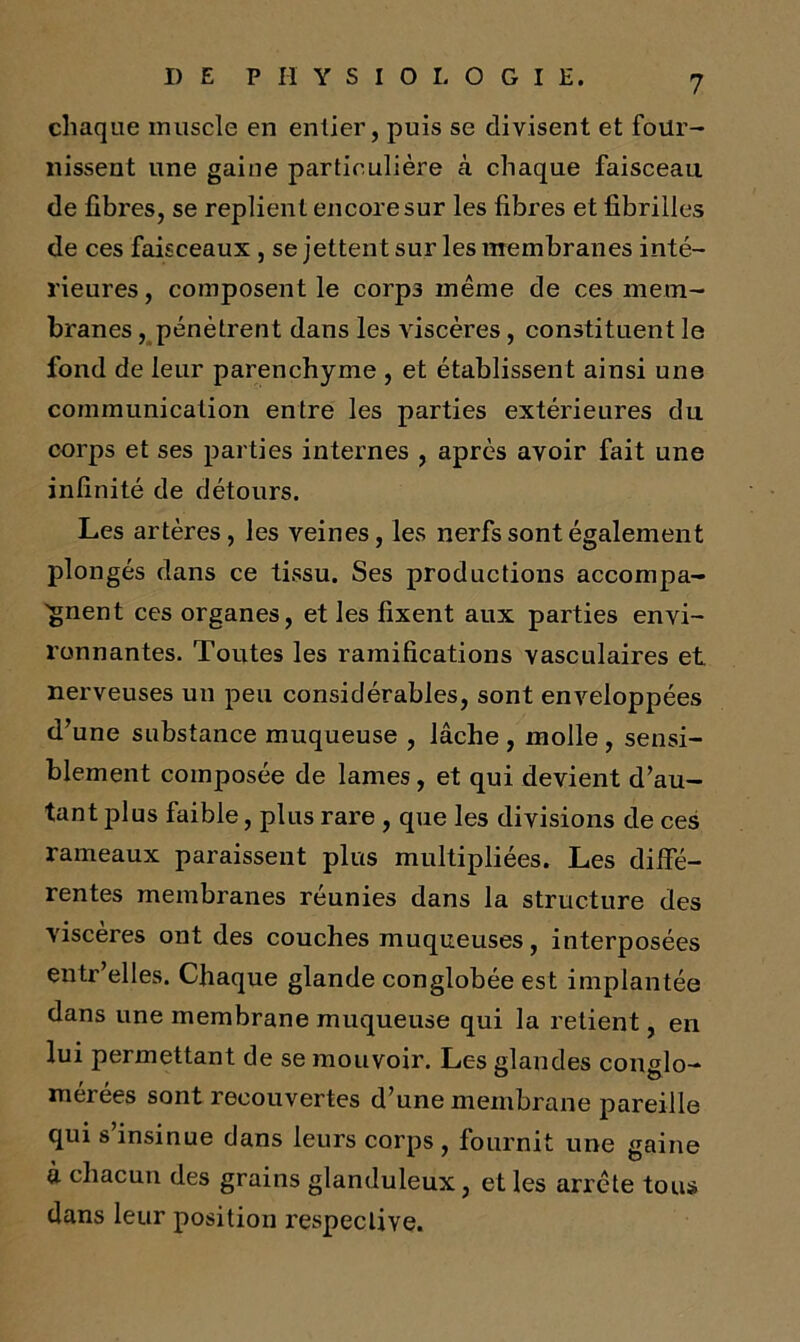 chaque muscle en entier, puis se divisent et four- nissent une gaine particulière cà chaque faisceau de fibres, se replient encore sur les fibres et fibrilles de ces faisceaux , se jettent sur les membranes inté- rieures , composent le corps même de ces mem- branes , pénètrent dans les viscères, constituent le fond de leur parenchyme , et établissent ainsi une communication entre les parties extérieures du corps et ses parties internes , après avoir fait une infinité de détours. Les artères, les veines, les nerfs sont également plongés dans ce tissu. Ses productions accompa- gnent ces organes, et les fixent aux parties envi- ronnantes. Toutes les ramifications vasculaires et nerveuses un peu considérables, sont enveloppées d’une substance muqueuse , lâche , molle , sensi- blement composée de lames, et qui devient d’au- tant plus faible, plus rare , que les divisions de ces rameaux paraissent plus multipliées. Les diffé- rentes membranes réunies dans la structure des viscères ont des couches muqueuses, interposées entr’elles. Chaque glande conglobée est implantée dans une membrane muqueuse qui la retient, en lui permettant de se mouvoir. Les glandes conglo- mérées sont recouvertes d’une membrane pareille qui s’insinue dans leurs corps , fournit une gaine à chacun des grains glanduleux, et les arrête tous dans leur position respective.