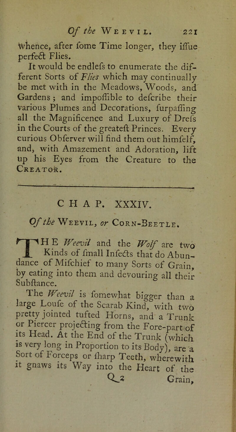 Of the Weevil. 221 Whence, after fome Time longer, they Blue perfeCt Flies. It would be endlefs to enumerate the dif- ferent Sorts of 'Flies which may continually be met with in the Meadows, Woods, and Gardens ; and impoffible to defcribe their various Plumes and Decorations, furpafling all the Magnificence and Luxury of Drefs in the Courts of the greatefl Princes. Every curious Obferver will find them out himfelf, and, with Amazement and Adoration, lift up his Eyes from the Creature to the Creator. CHAP. XXXIV. Of the Weevil, or Corn-Beetle. THE Weevil and the Wolf are two Kinds of fmall Infedts that do Abun- dance of Mifchief to many Sorts of Grain, by eating into them and devouring all their Subfiance. The Weevil is fomewhat bigger than a large Loufe of the Scarab Kind, with two pretty jointed tufted Horns, and a Trunk or Piercer projecting from the Fore-part of its Head. At the End of the Trunk (which is very long in Proportion to its Body), are a Sort of Forceps or fharp Teeth, wherewith it gnaws its Way into the Heart of the Grain,