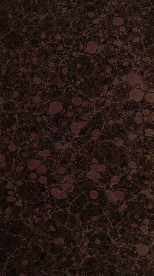 digitised image 3